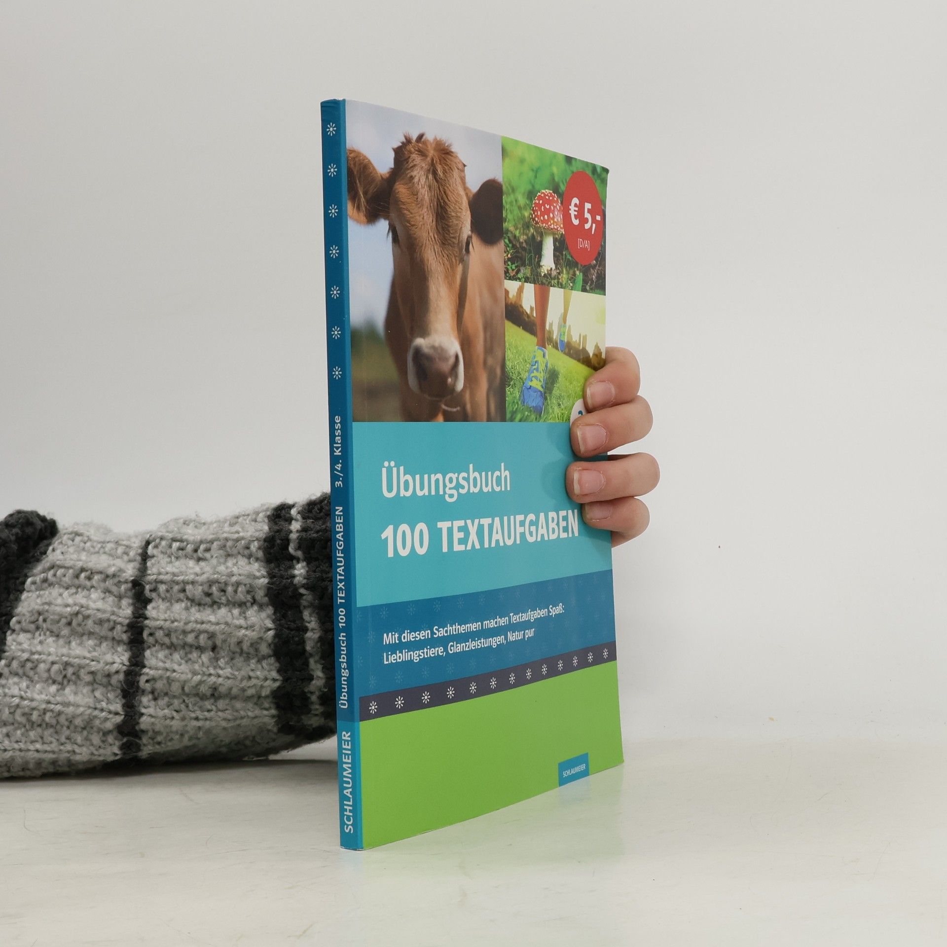Autorenkollektiv Übungsbuch 100 Textaufgaben 3./4. Klasse