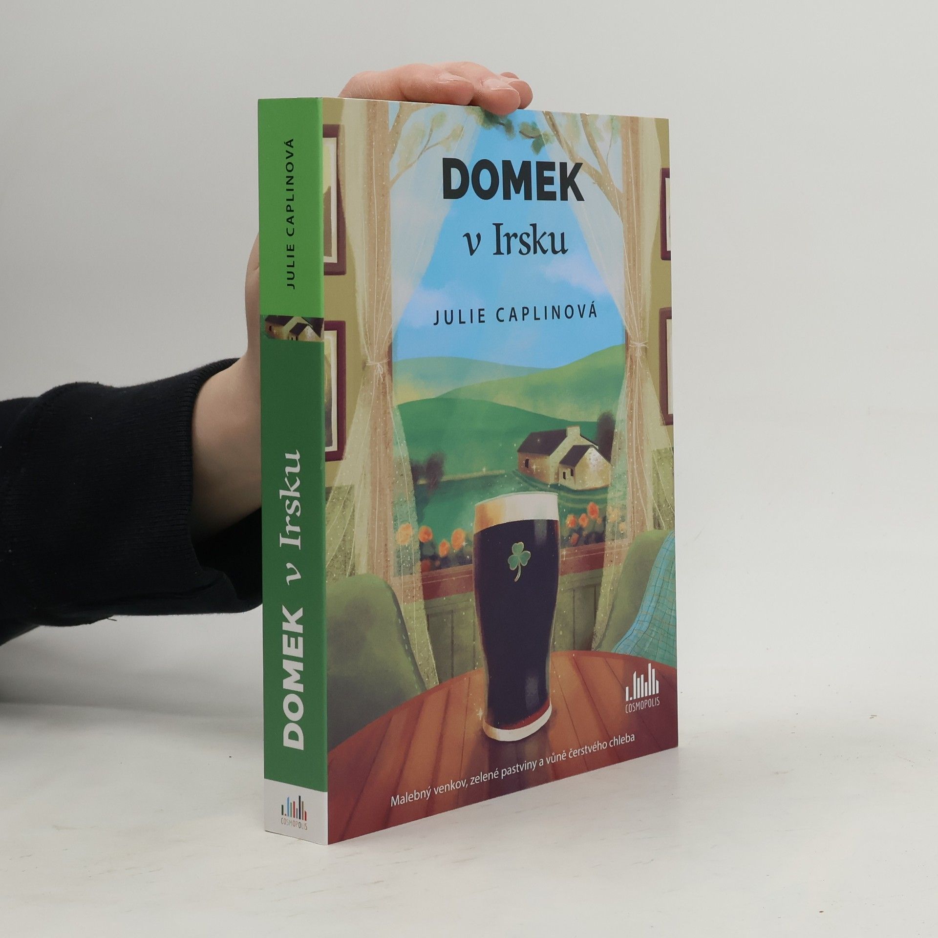 Domek v Irsku