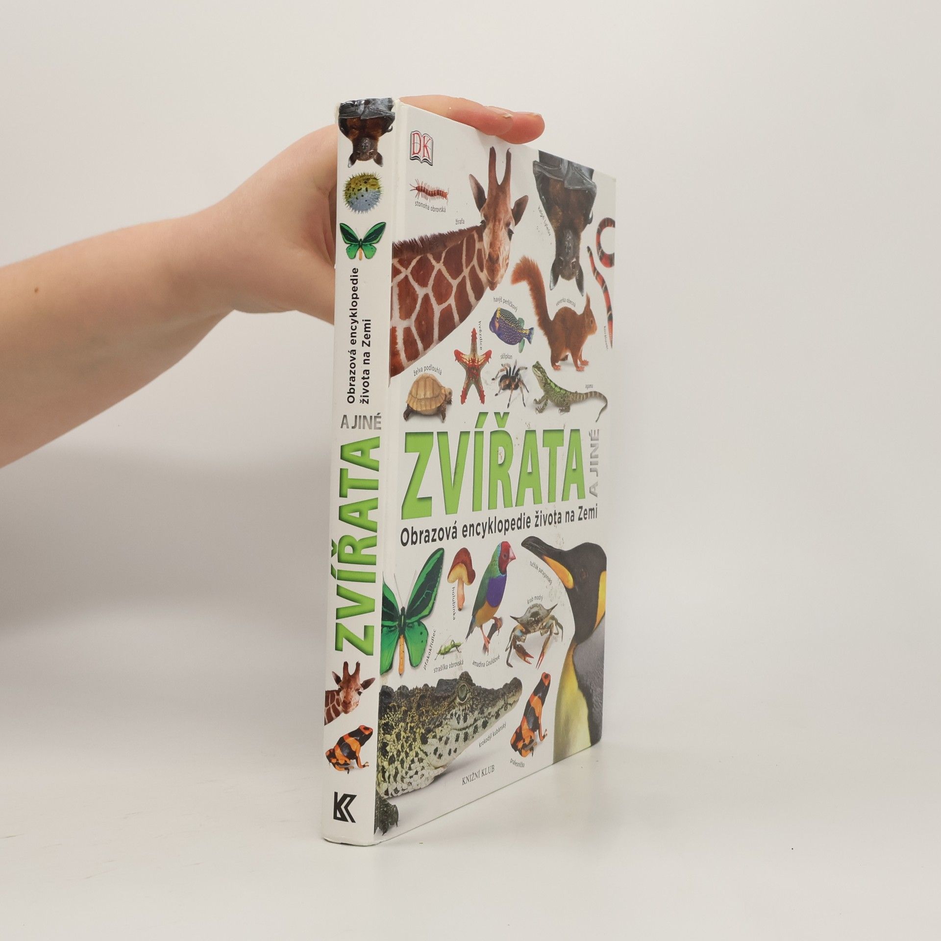 Autorenkollektiv Zvířata a jiné. Obrazová encyklopedie života na Zemi