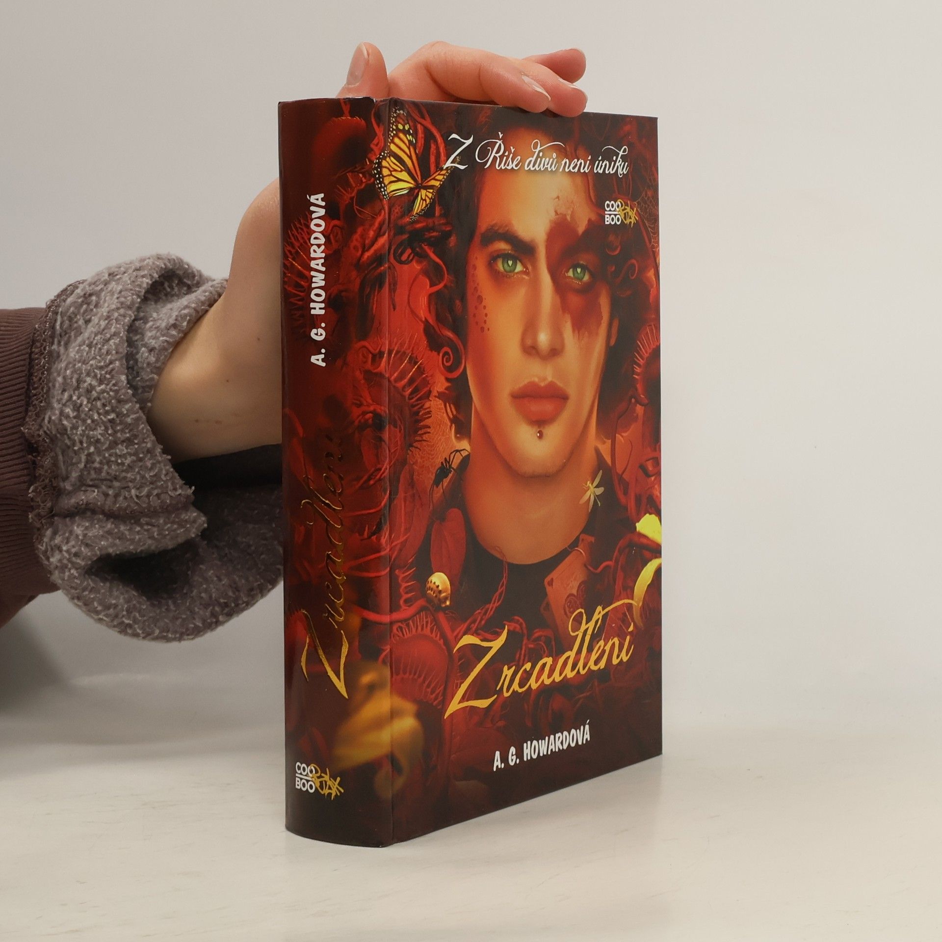 A. G. Howard Zrcadlení. 3. díl