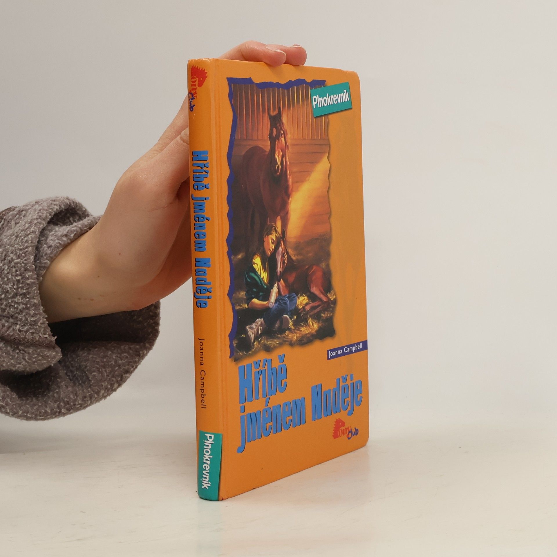 Joanna Campbell Hříbě jménem Naděje