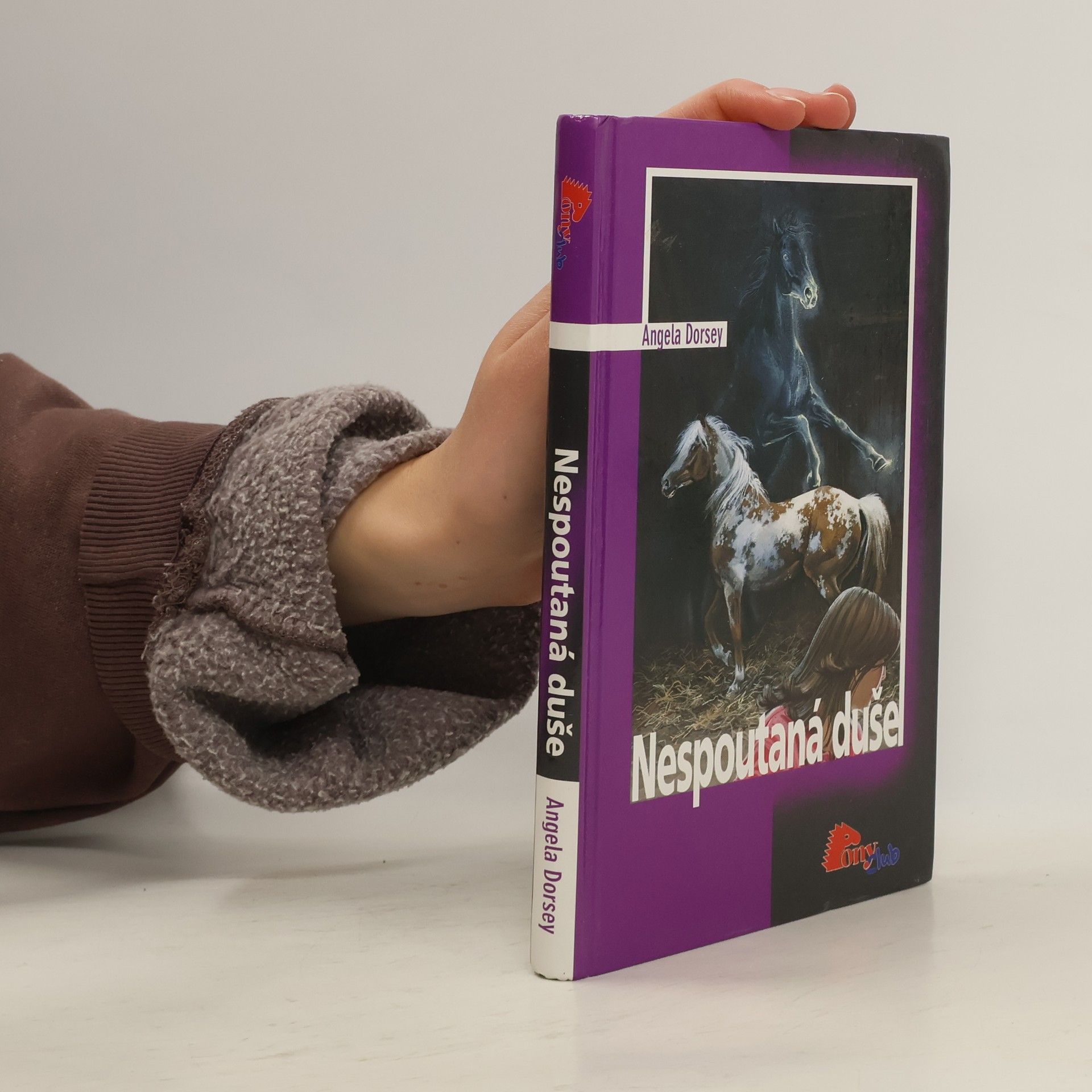 Angela Dorsey Nespoutaná duše