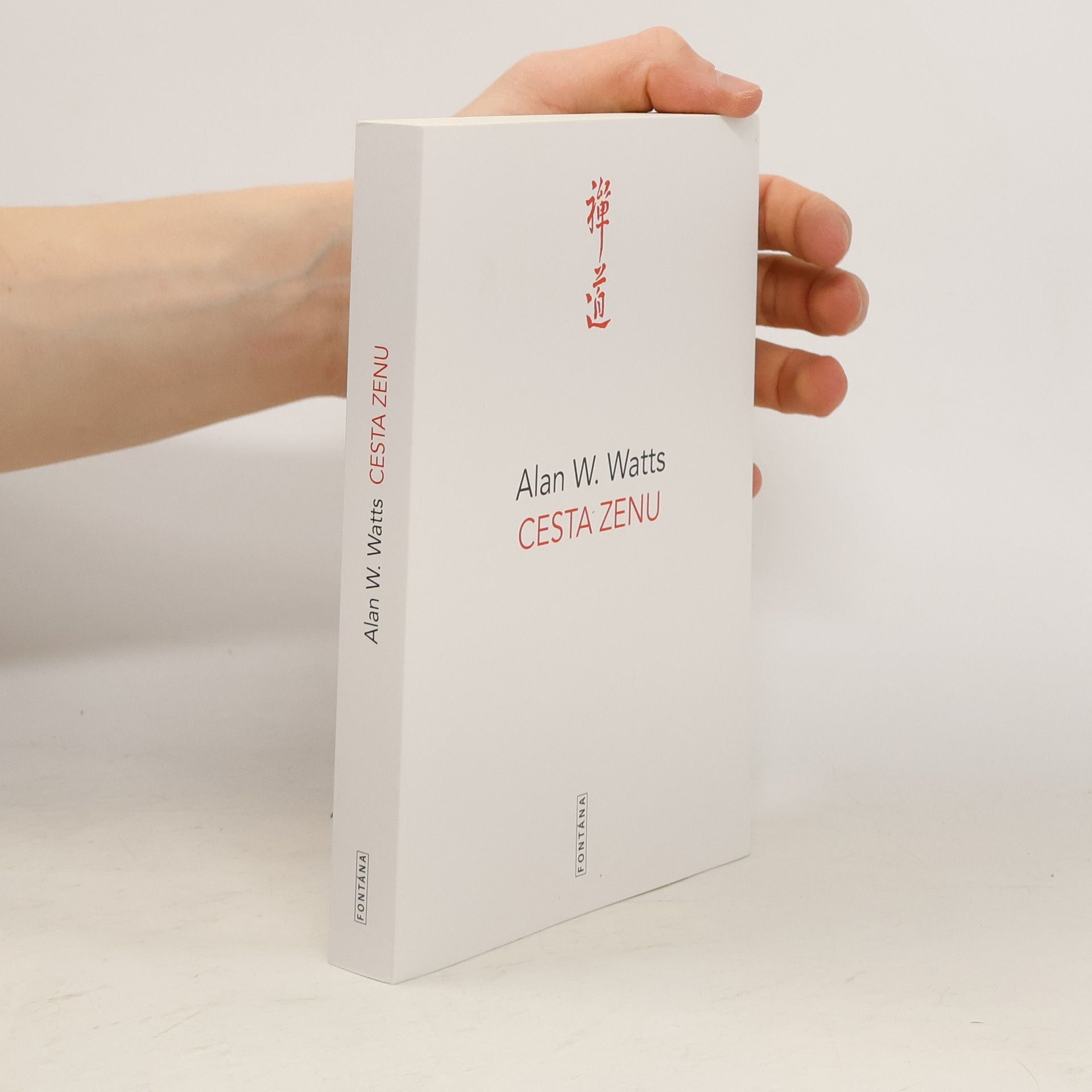 Alan Watts Cesta zenu