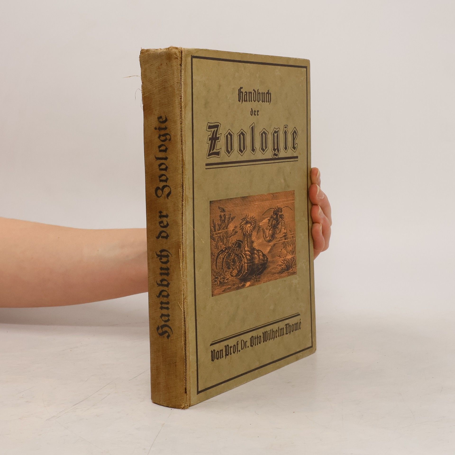 Otto Wilhelm Thomé Handbuch der Zoologie