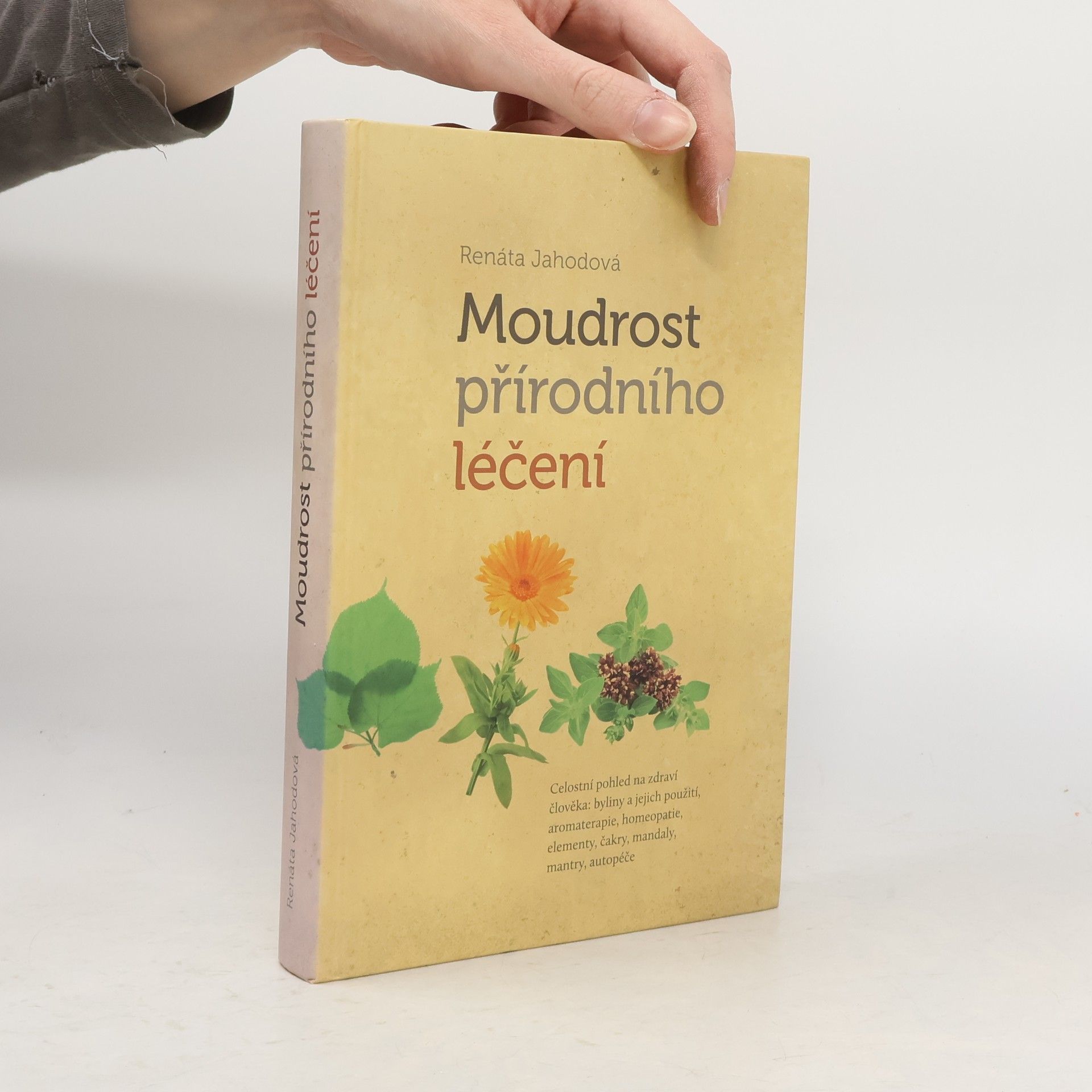 Renáta Jahodová Moudrost přírodního léčení