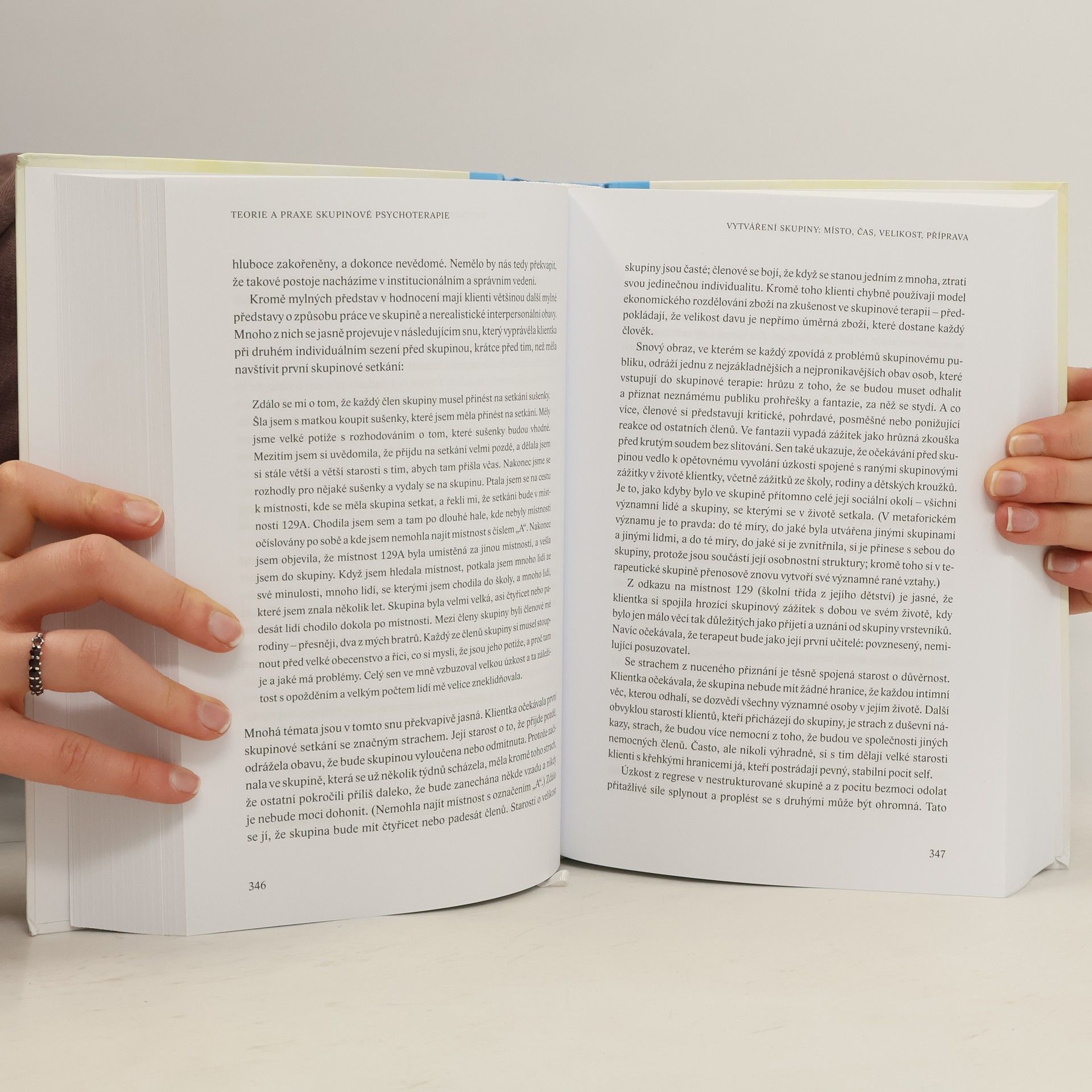Irvin Yalom Teorie a praxe skupinové psychoterapie