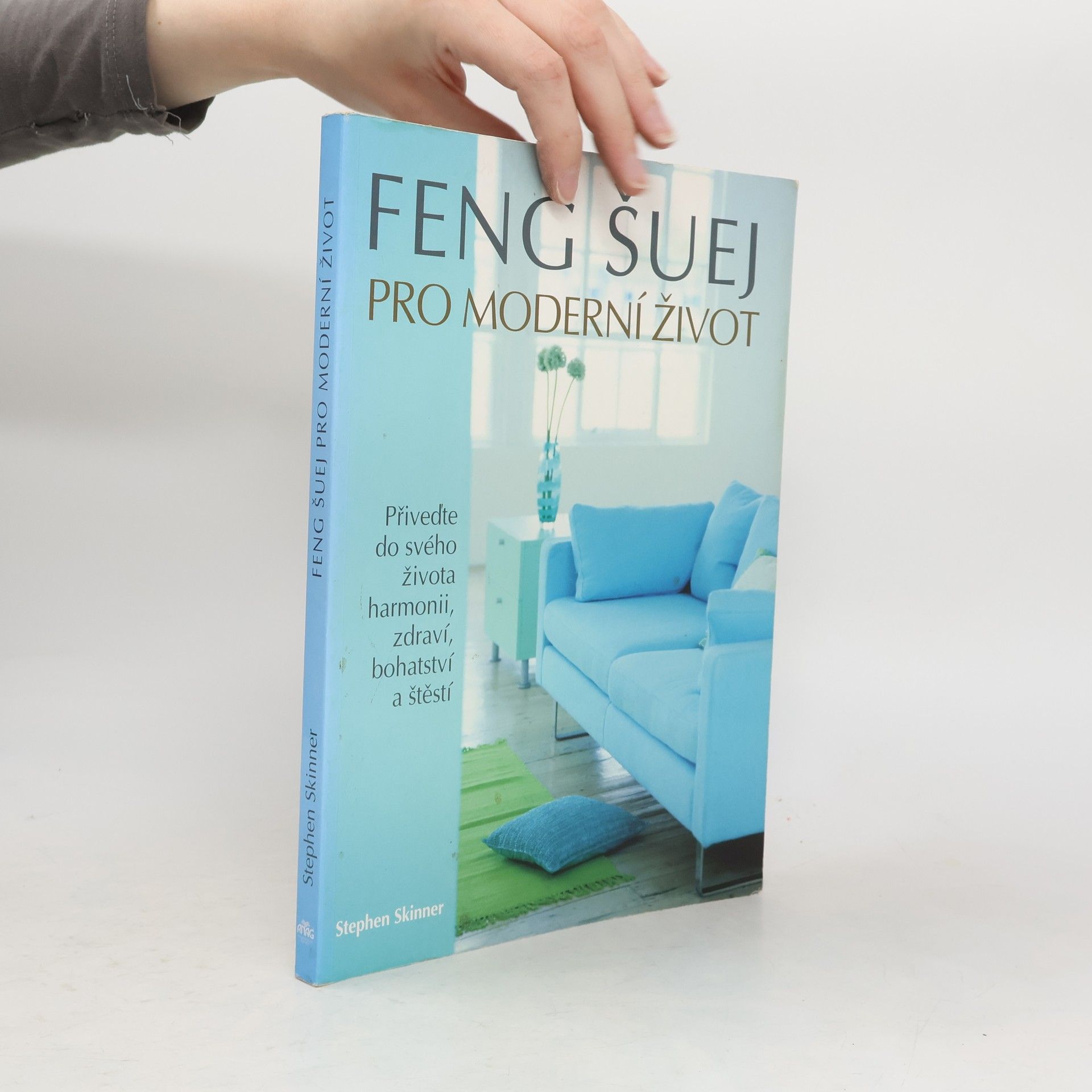 Stephen Skinner Feng šuej pro moderní život