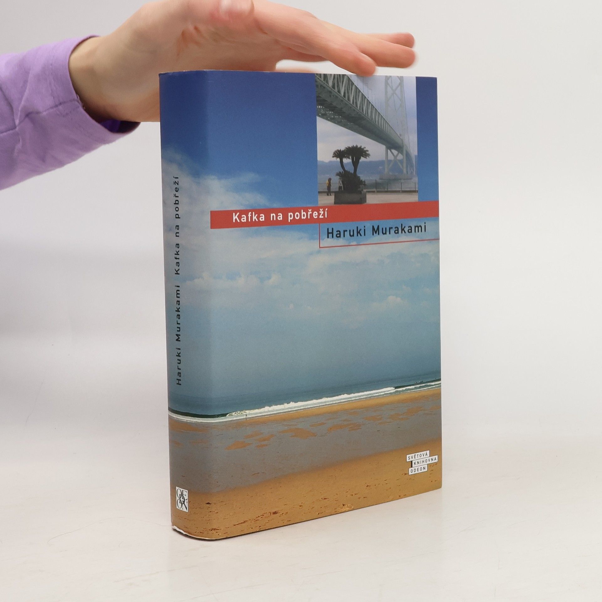 Haruki Murakami Kafka na pobřeží