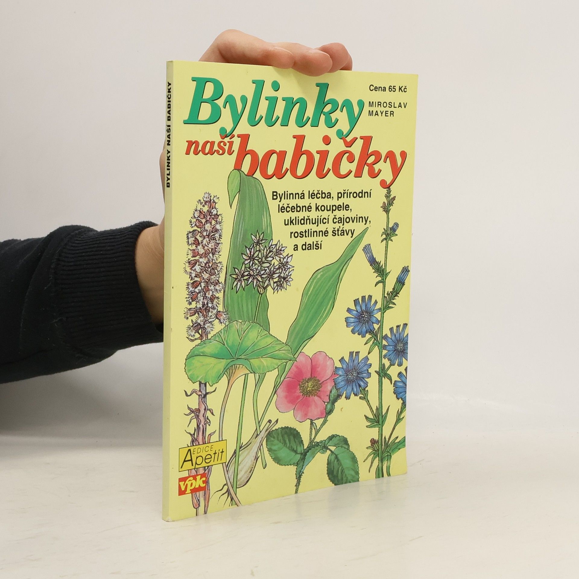 Miroslav Mayer Bylinky naší babičky