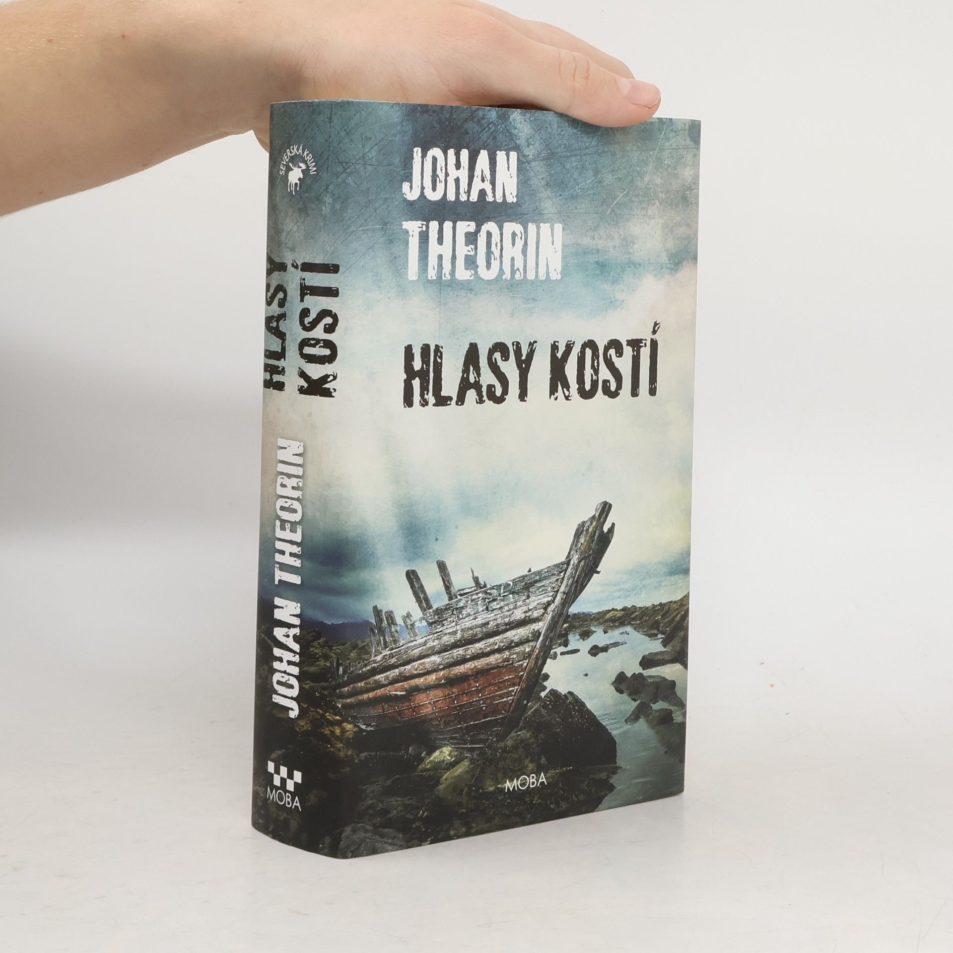 Johan Theorin Hlasy kostí