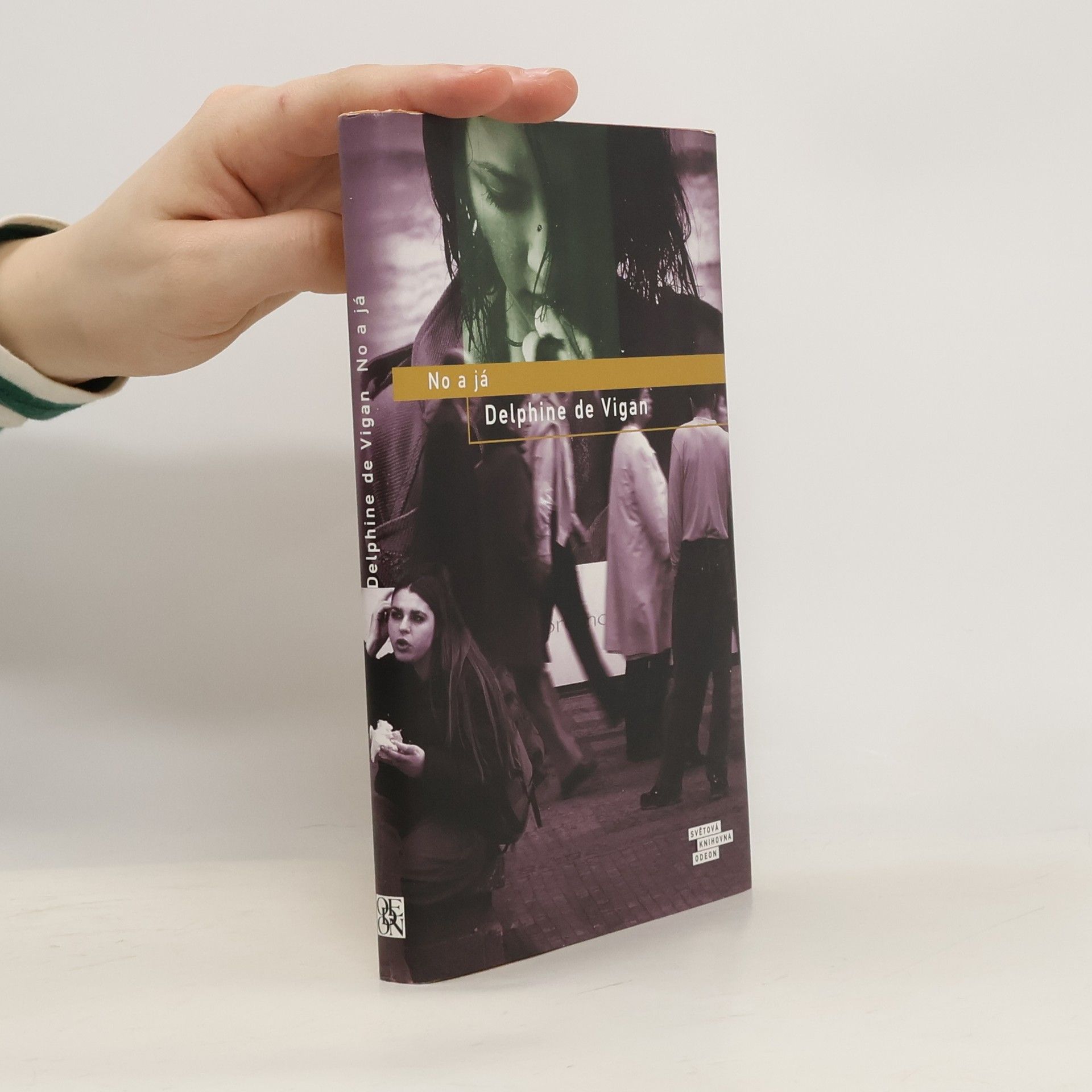 Delphine de Vigan No a já