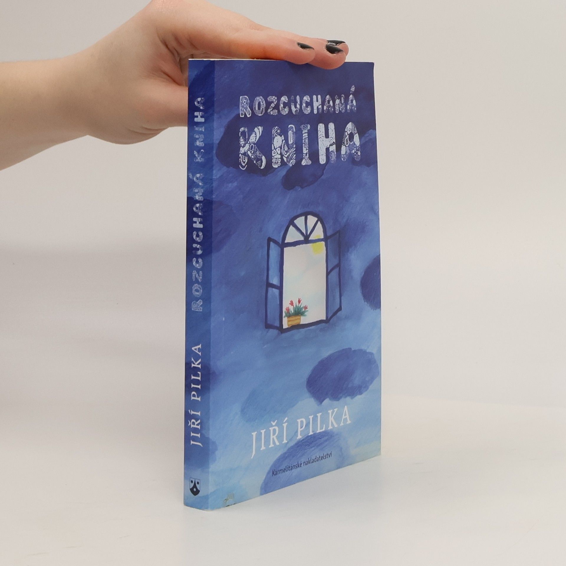 Jiří Pilka Rozcuchaná kniha