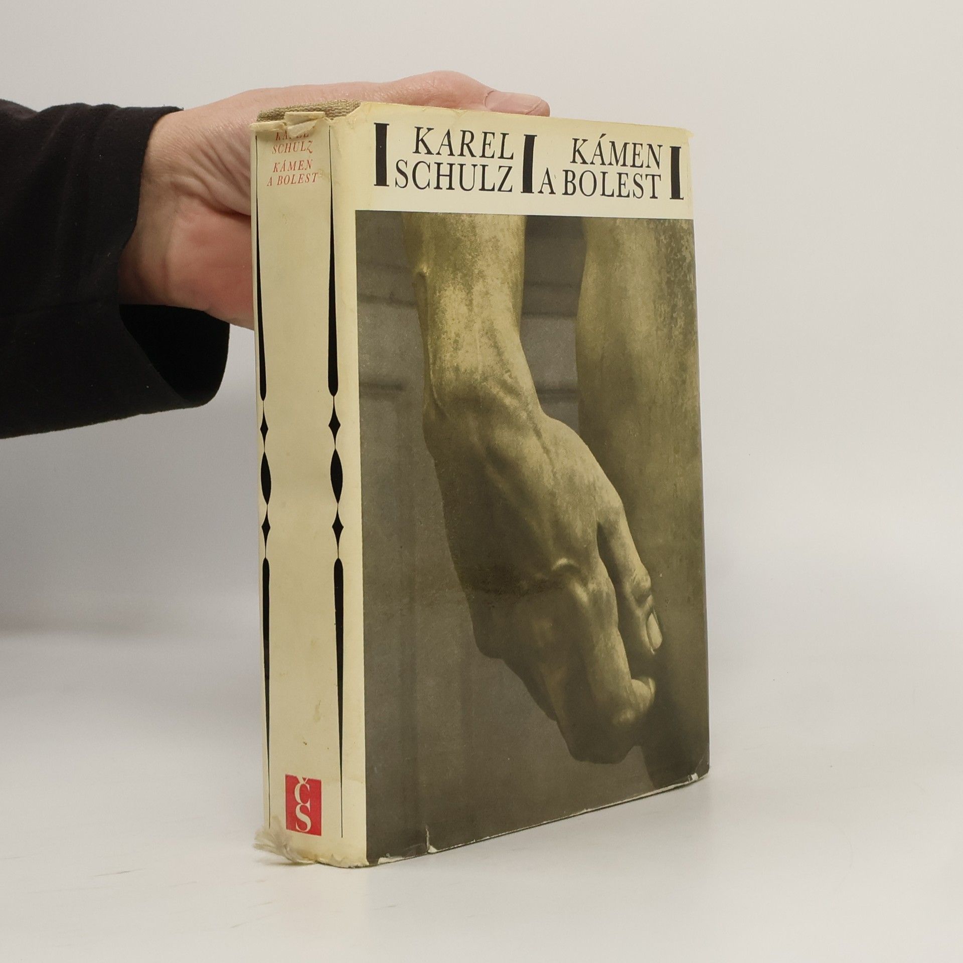 Karel Schulz Kámen a bolest