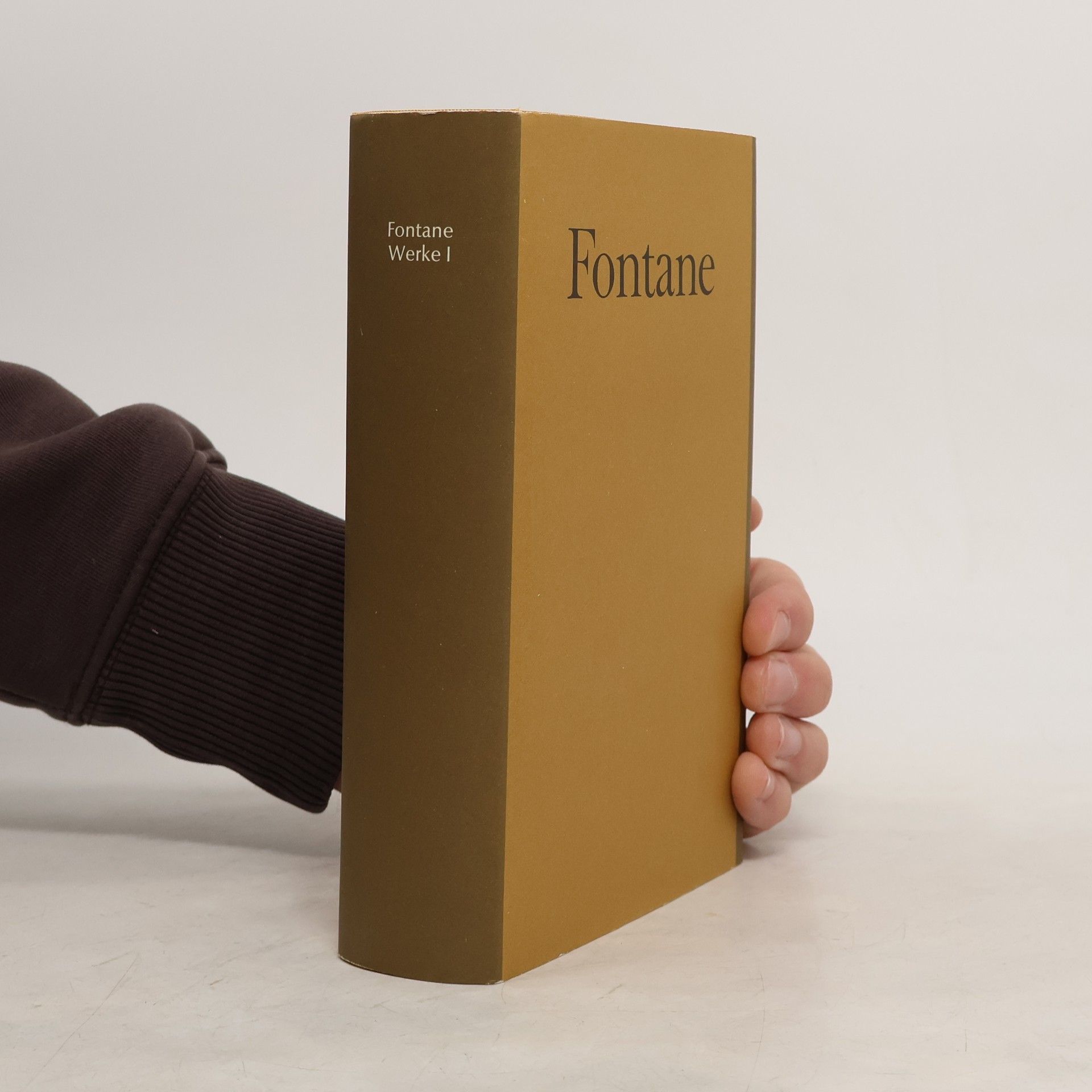 Theodor Fontane Werke I