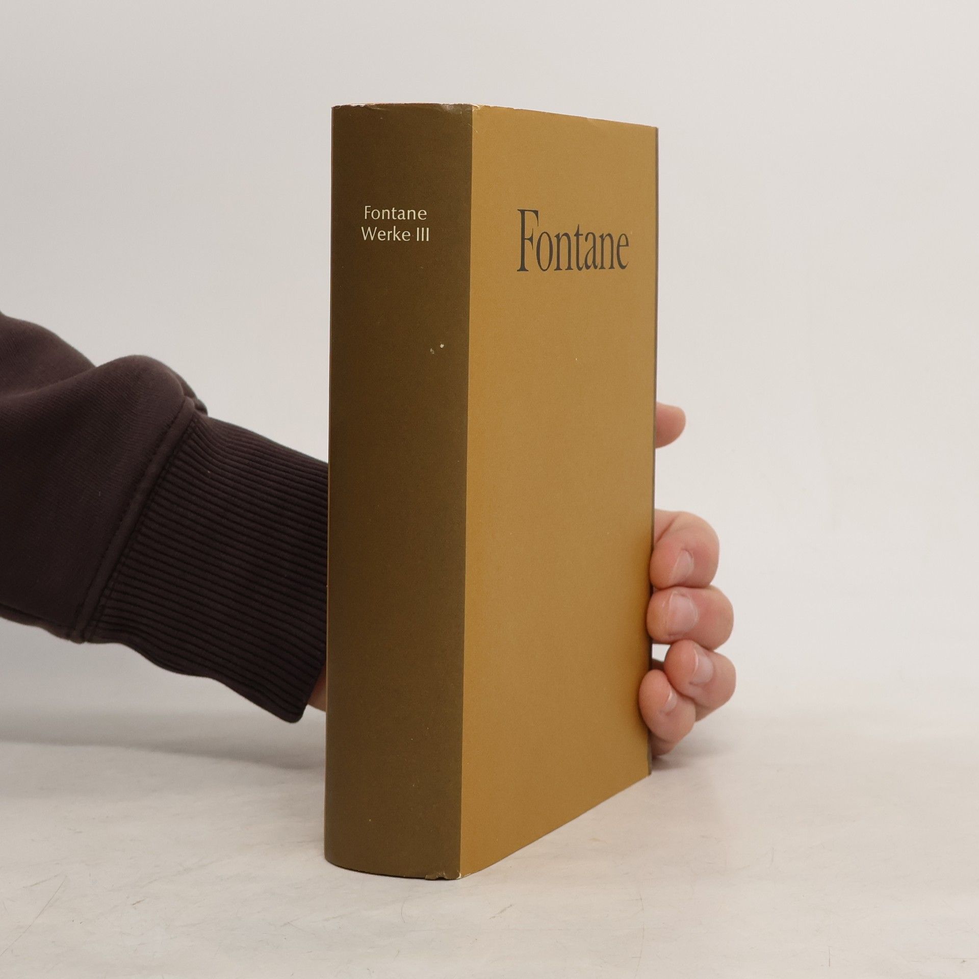 Theodor Fontane Fontane. Werke III