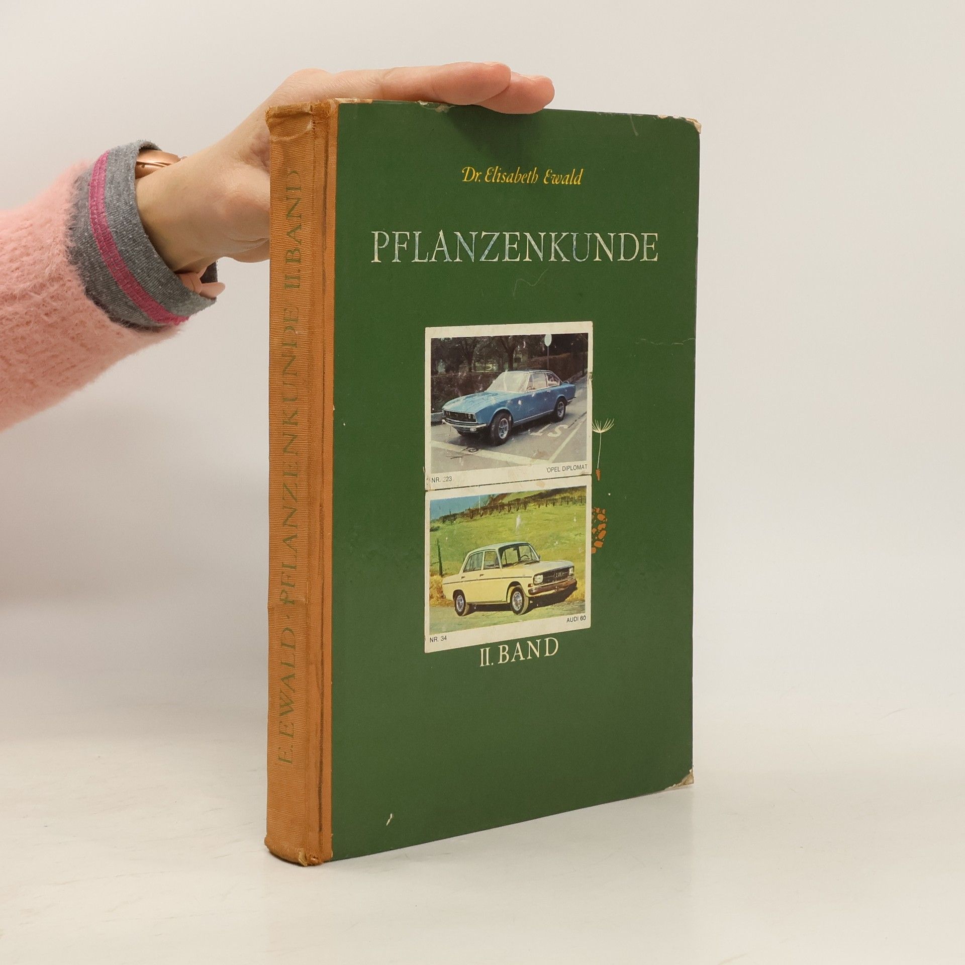 Elisabeth Ewald Pflanzenkunde II. Band
