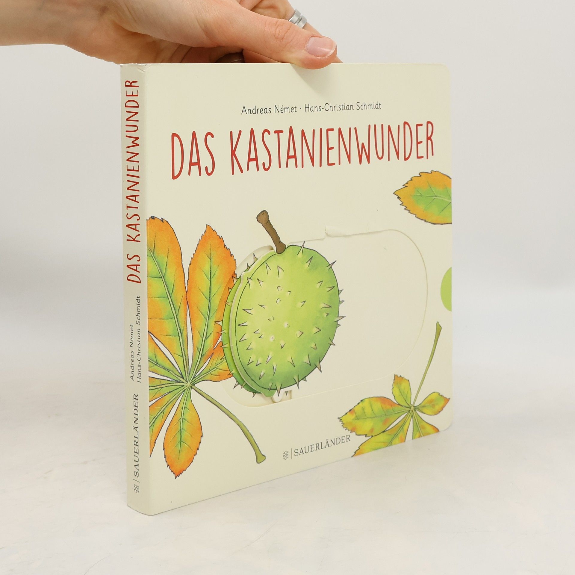 Hans-Christian Schmidt Das Kastanienwunder