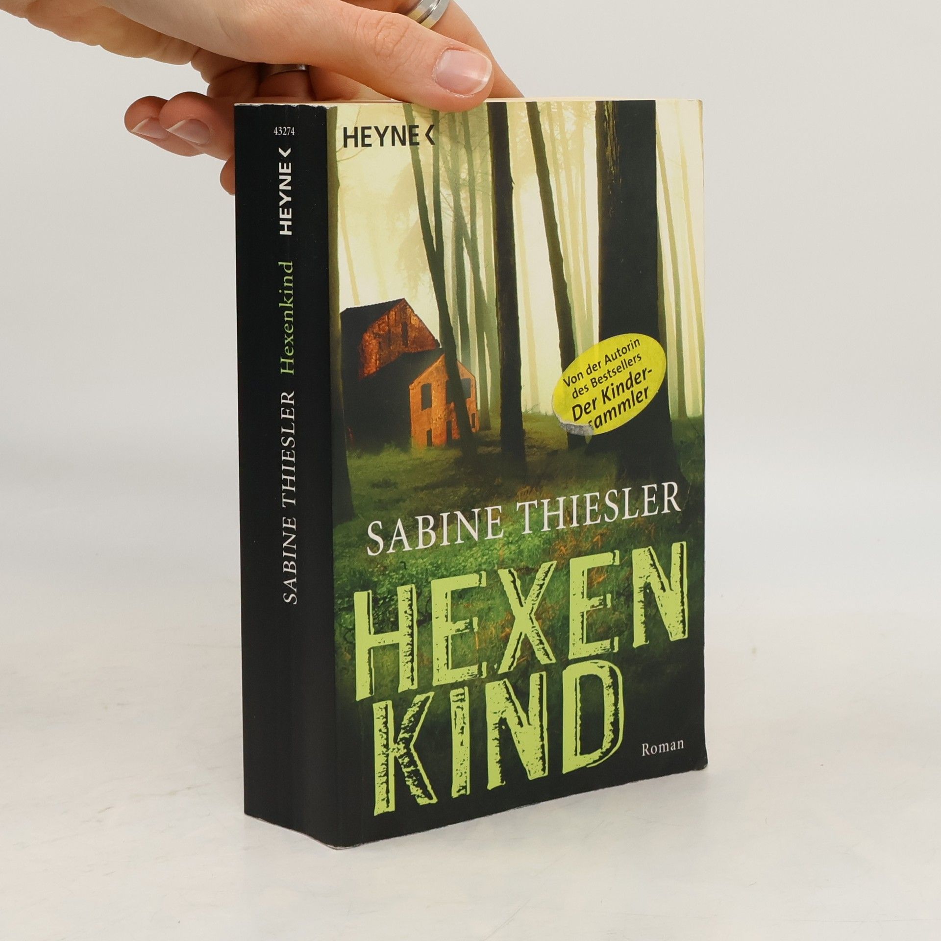 Sabine Thiesler Hexenkind - Roman