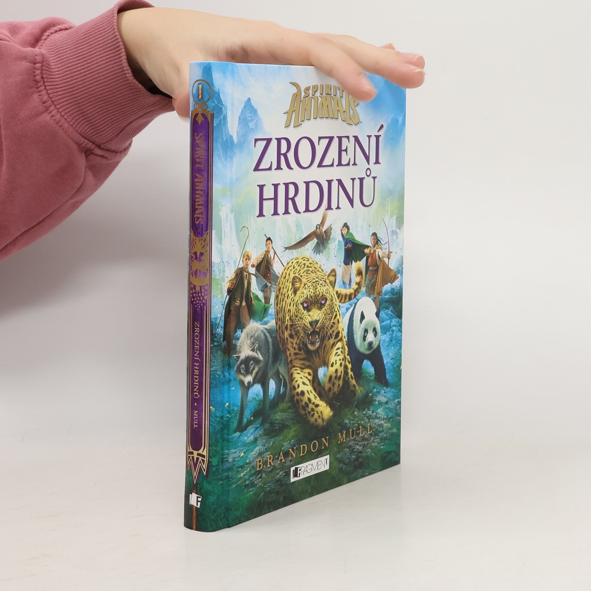 Brandon Mull Zrození hrdinů