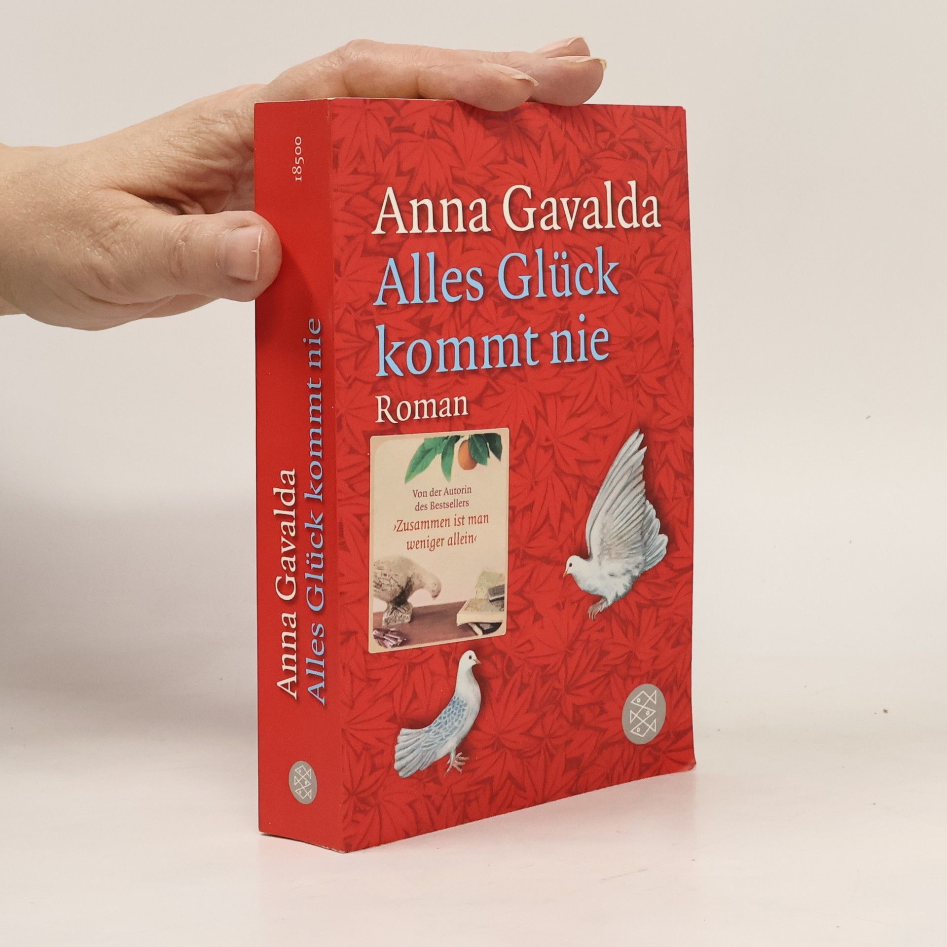 Anna Gavalda Alles Glück kommt nie