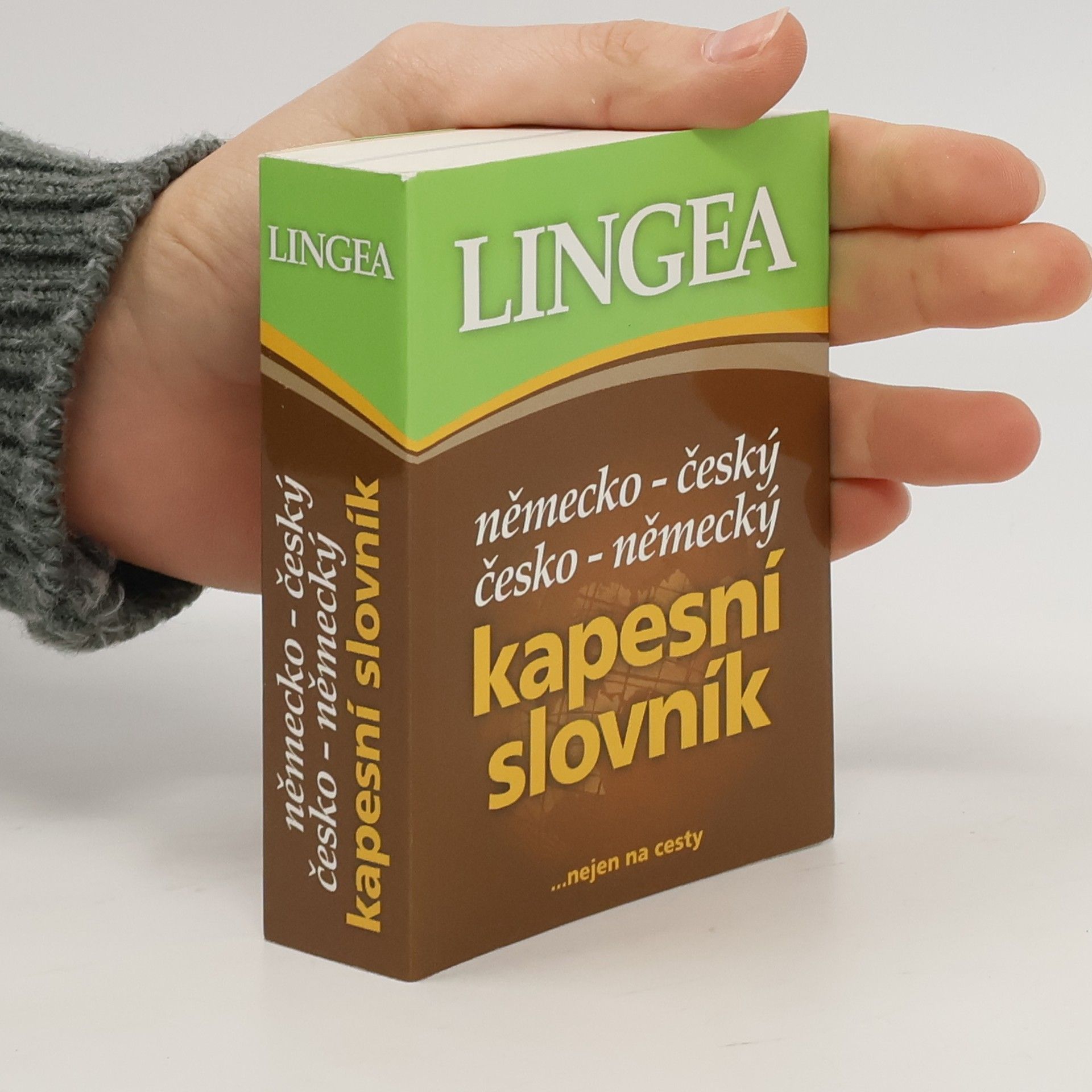 Autorenkollektiv Německo-český, česko-německý kapesní slovník