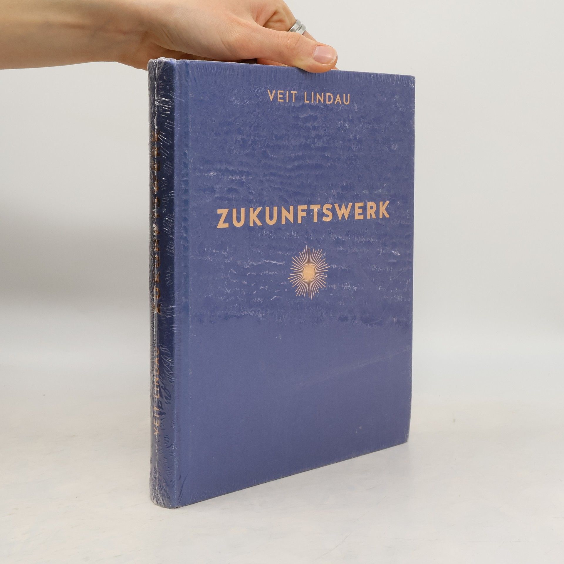 Kolektiv autorů Zukunftswerk