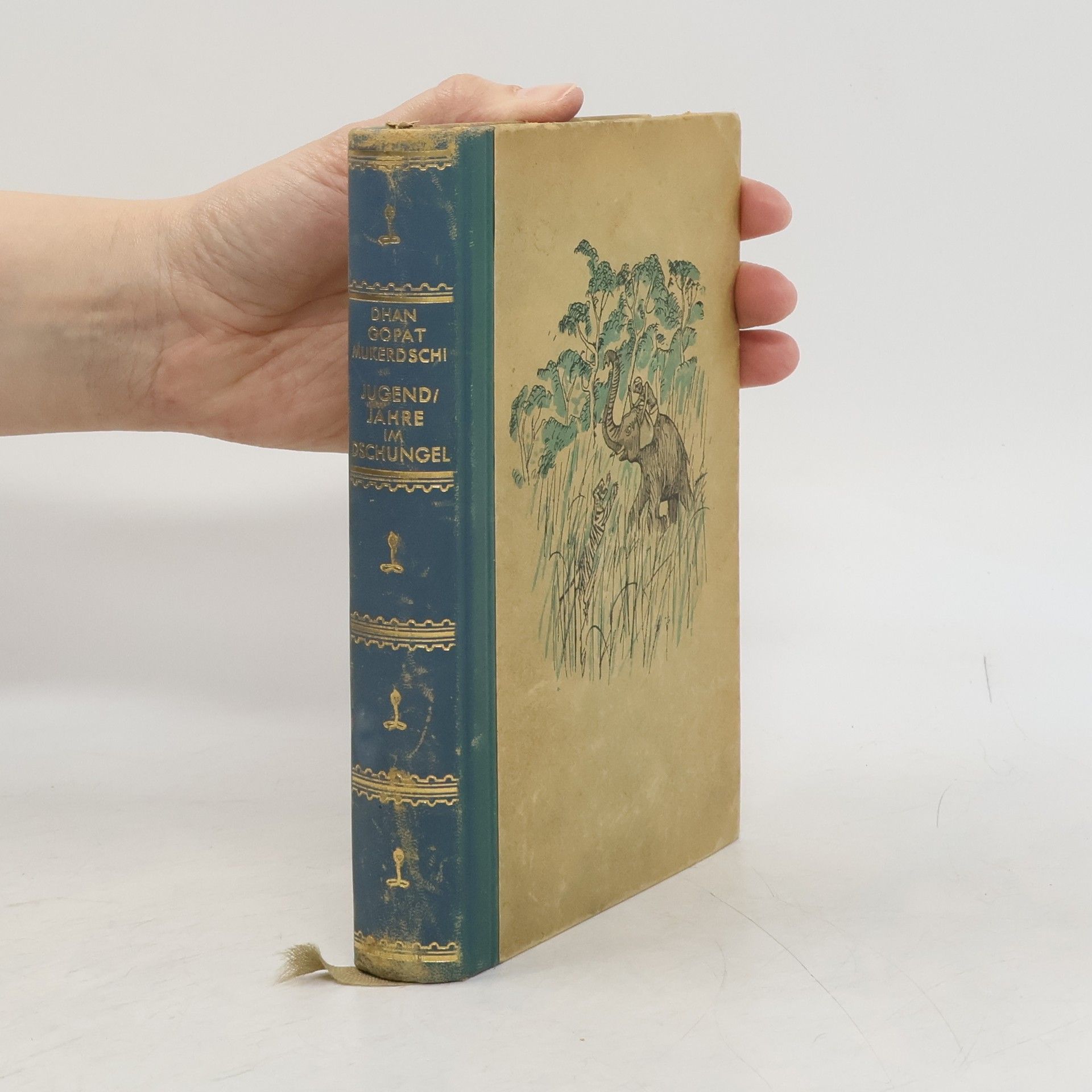 Kolektiv autorů Jugendjahre im Dschungel