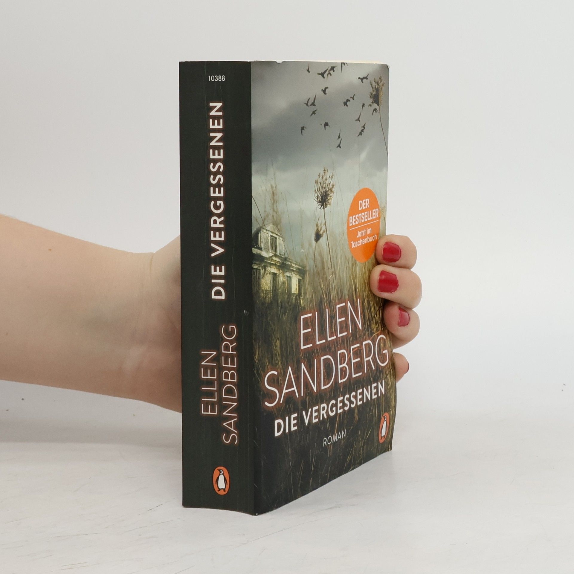 Ellen Sandberg Die Vergessenen
