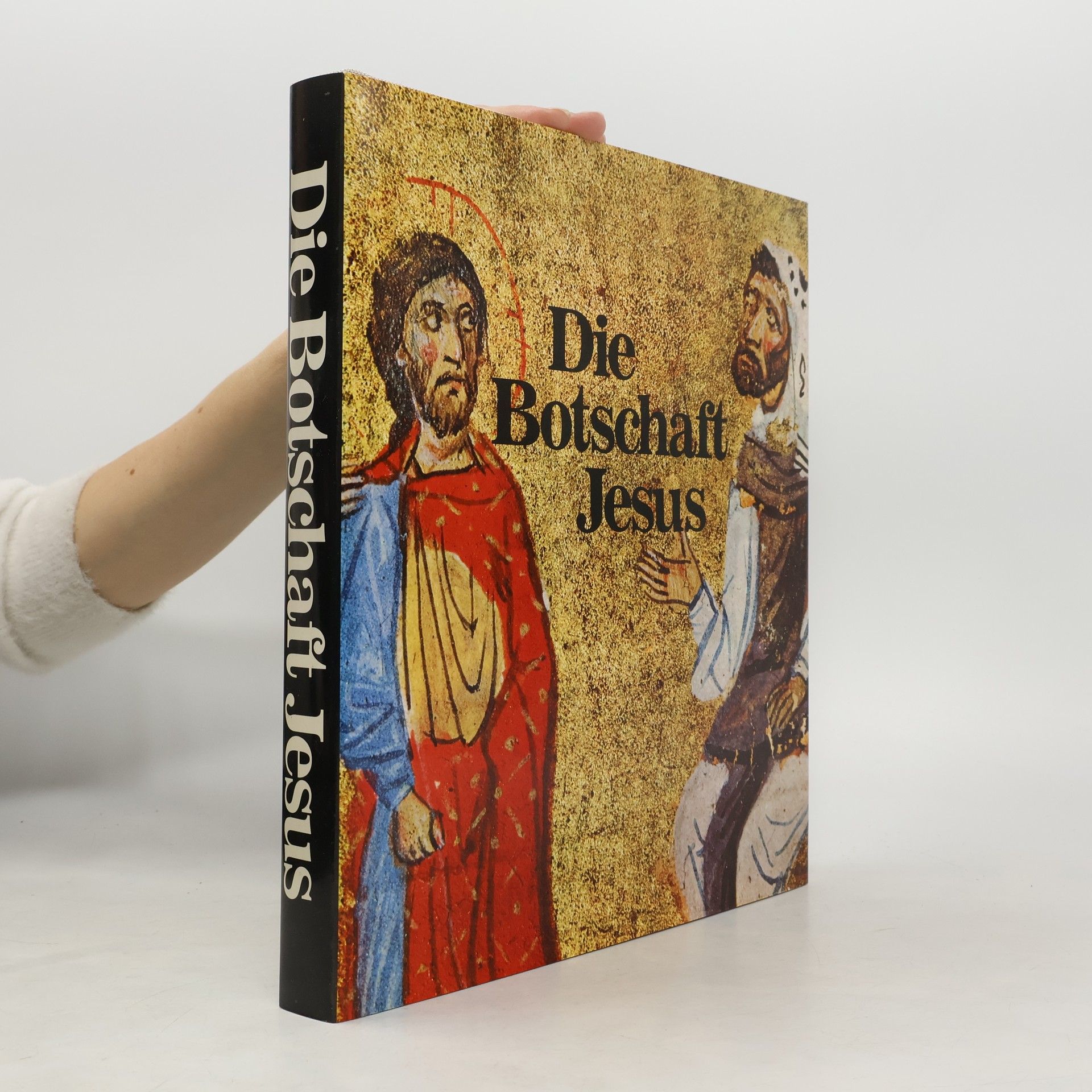 Kolektiv autorů Die Botschaft Jesus