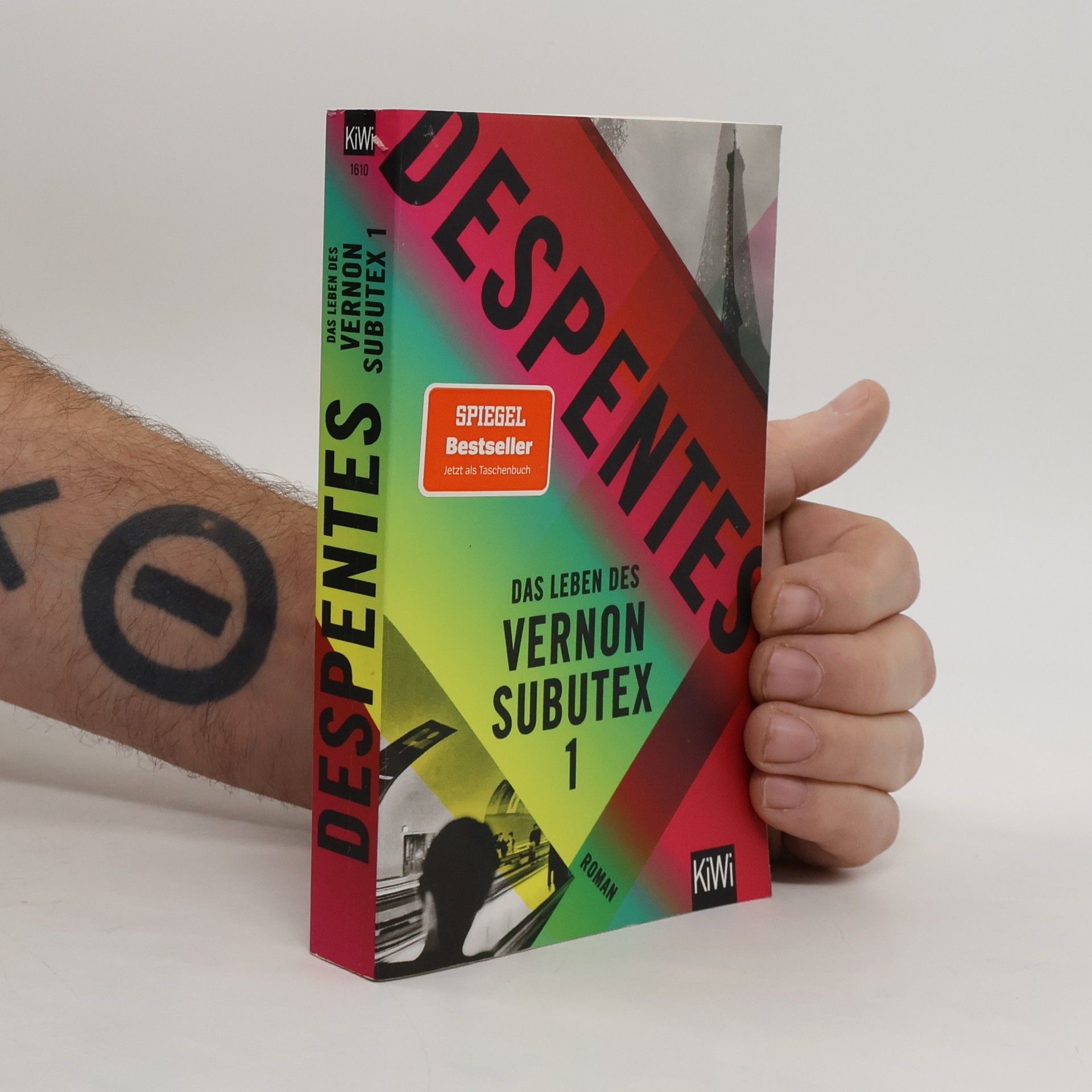 Virginie Despentes Das Leben des Vernon Subutex 1