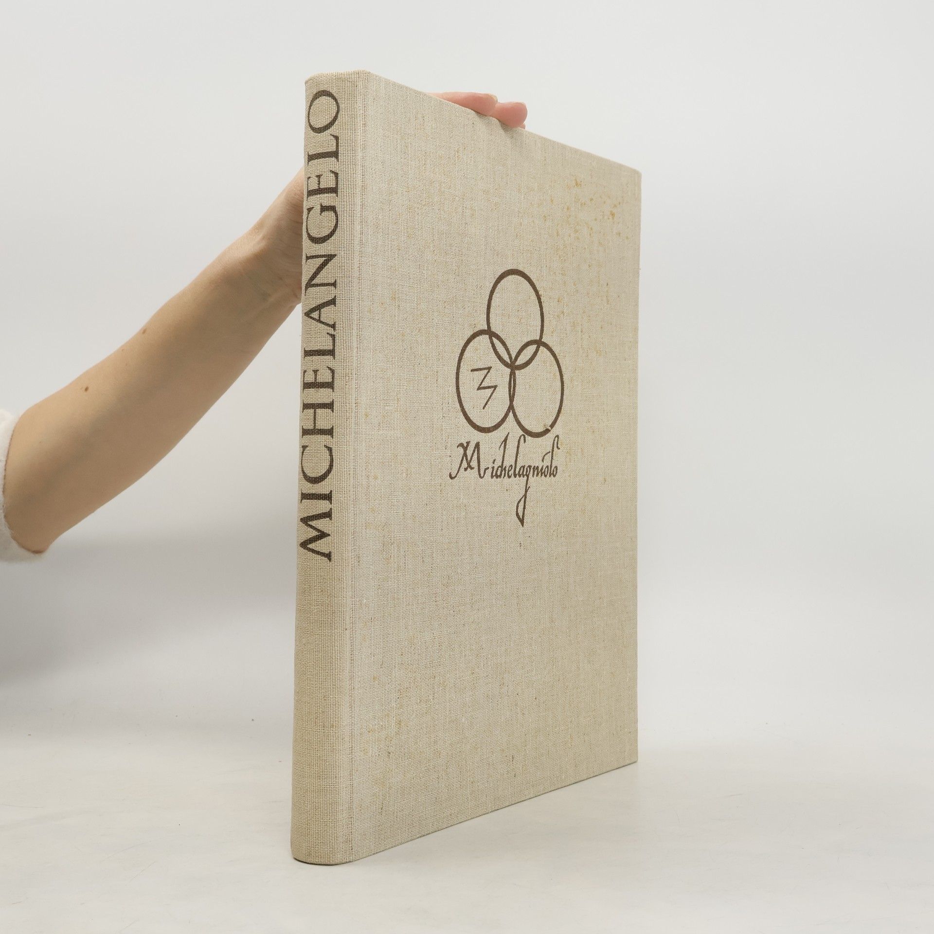 Kolektiv autorů Michelangelo