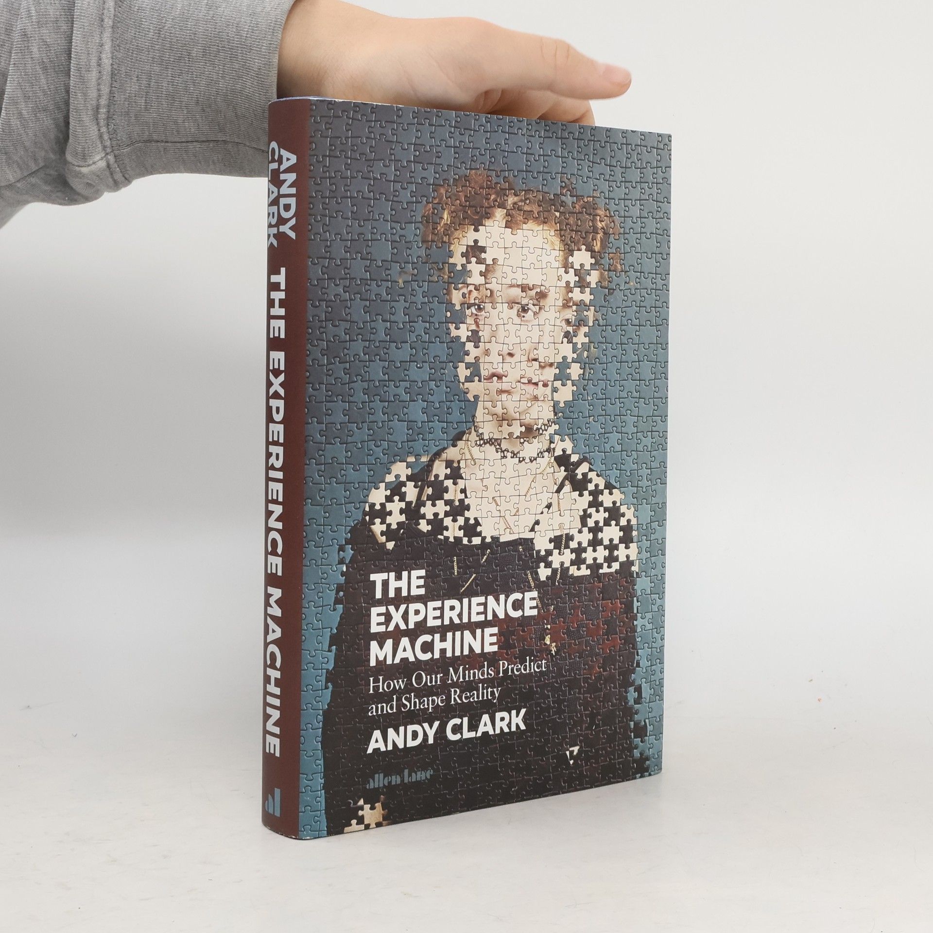 Andy Clark The Experience Machine