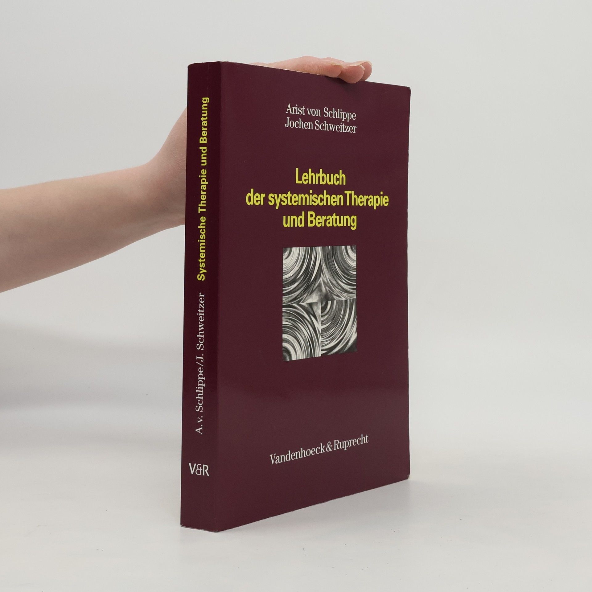 Arist von Schlippe Lehrbuch der systemischen Therapie und Beratung