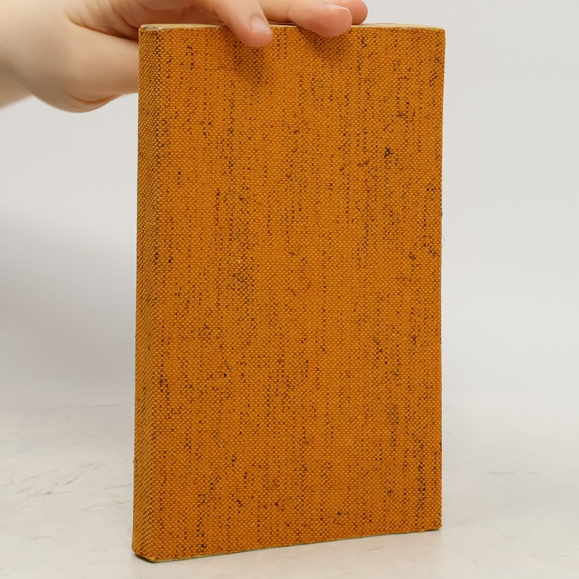 William Somerset Maugham Il velo dipinto