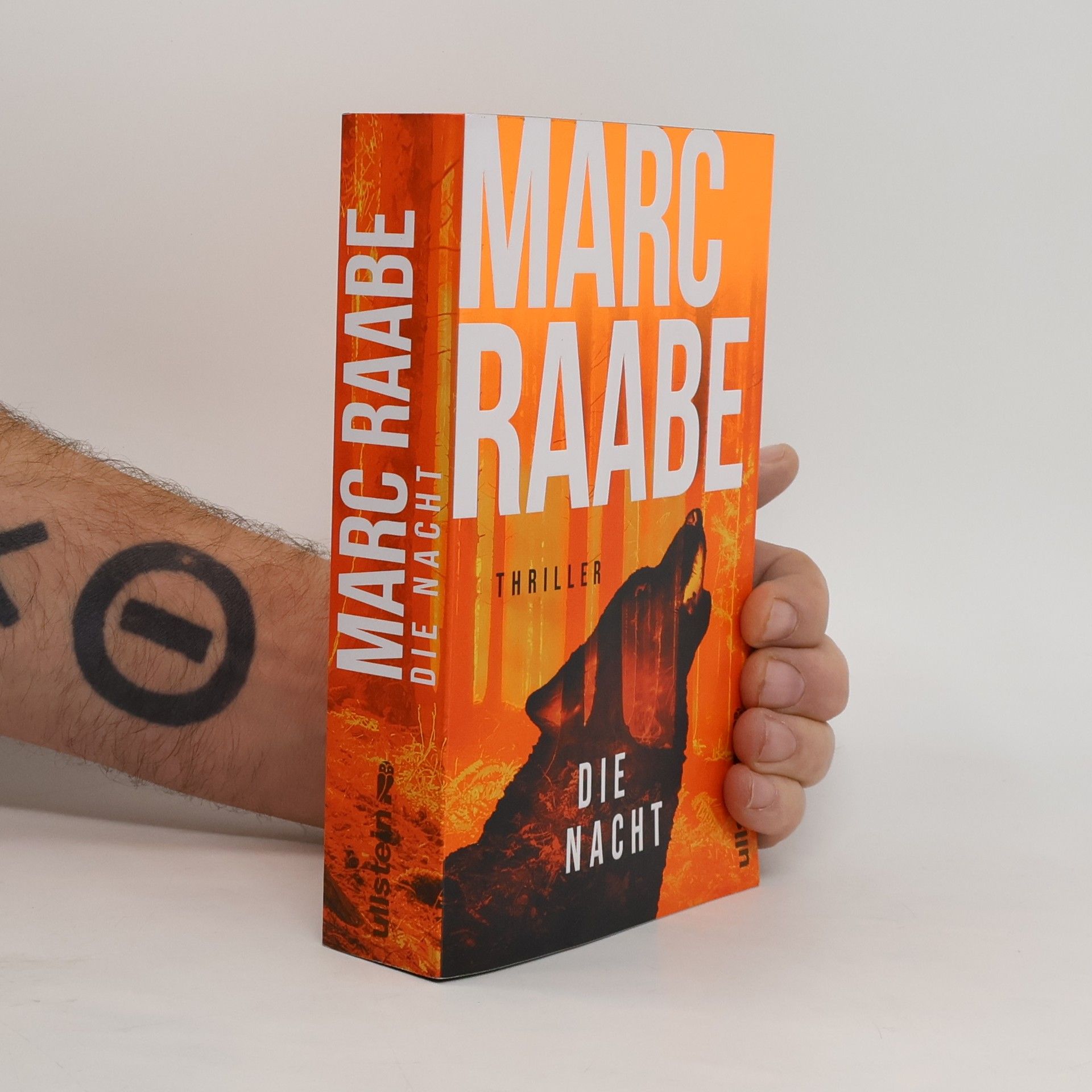 Marc Raabe Die Nacht