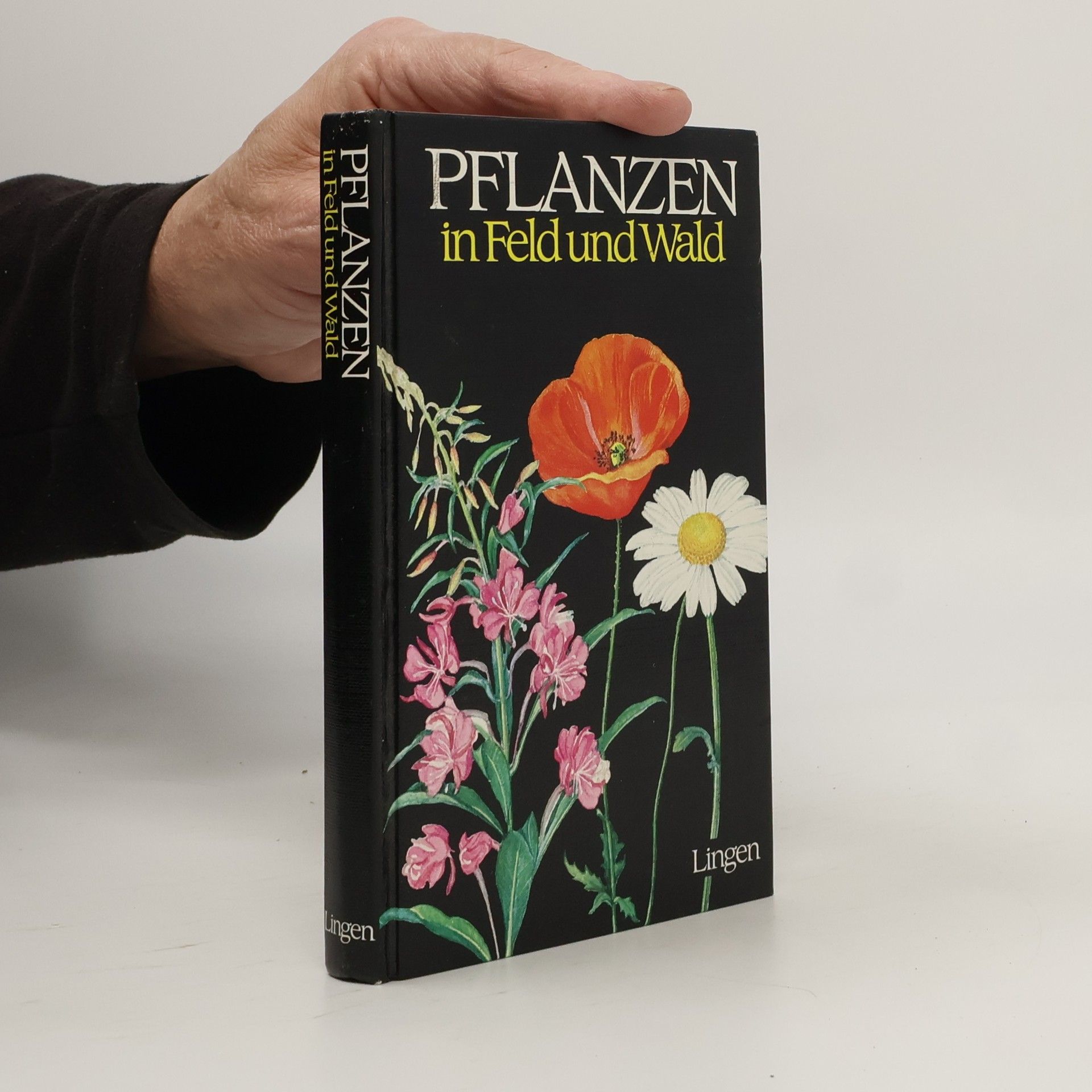 Various authors Pflanzen in Feld und Wald