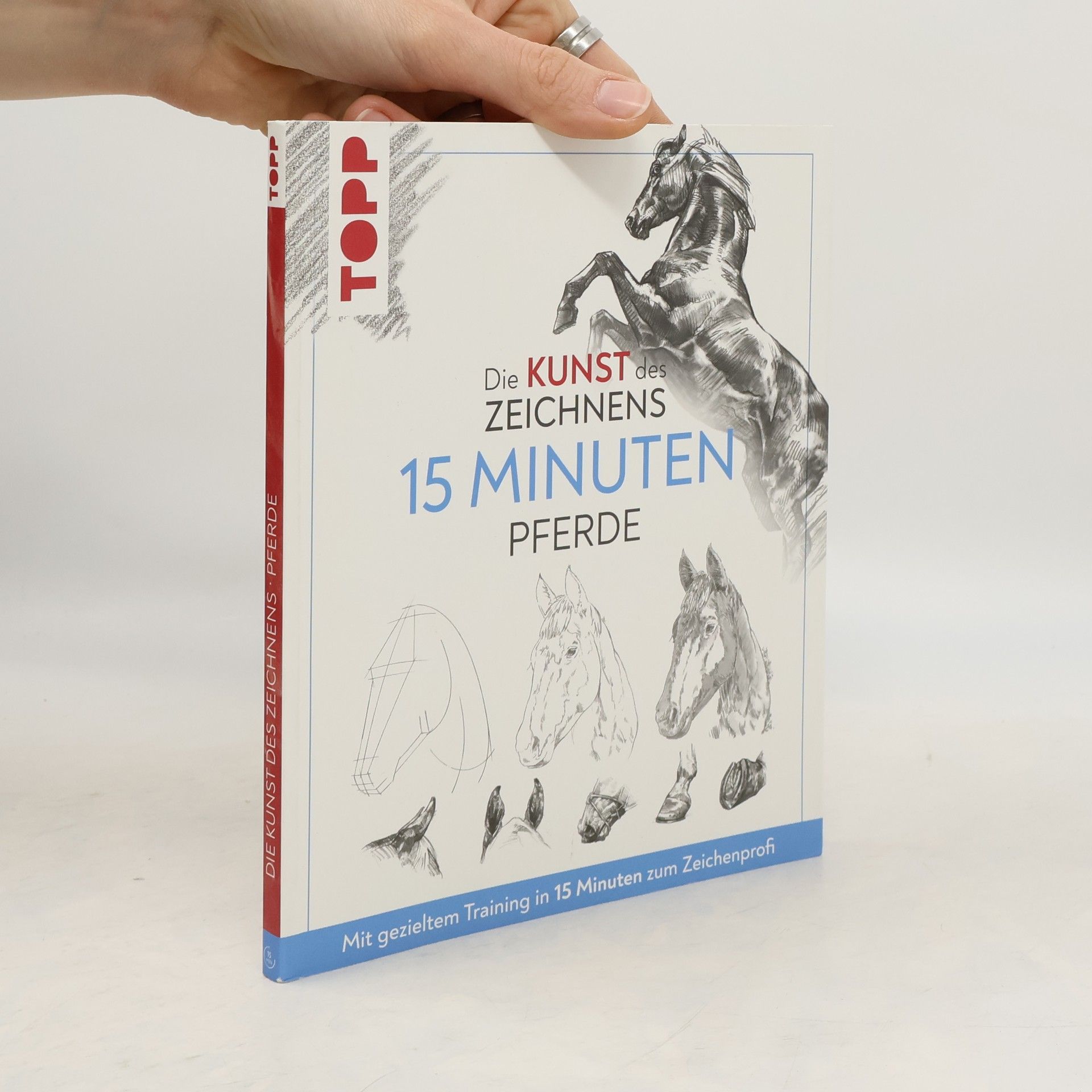 Frechverlag Die Kunst des Zeichnens 15 Minuten - Pferde