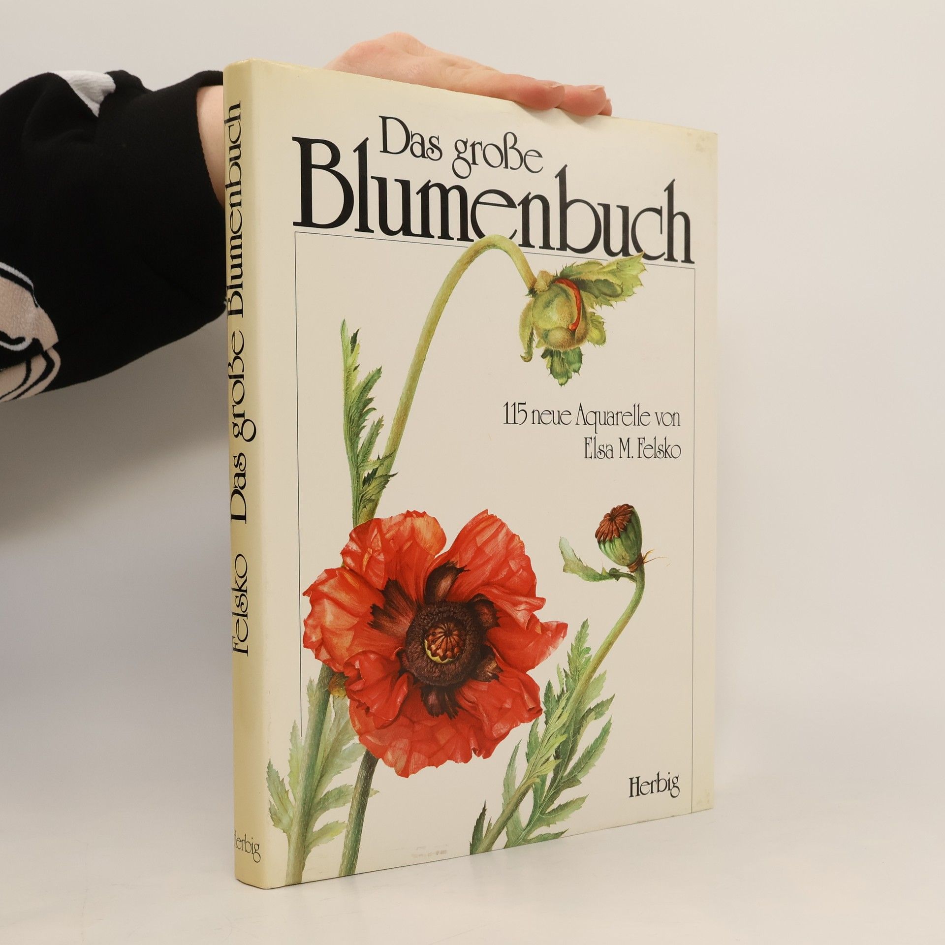 Elsa M. Felsko Das grosse Blumenbuch