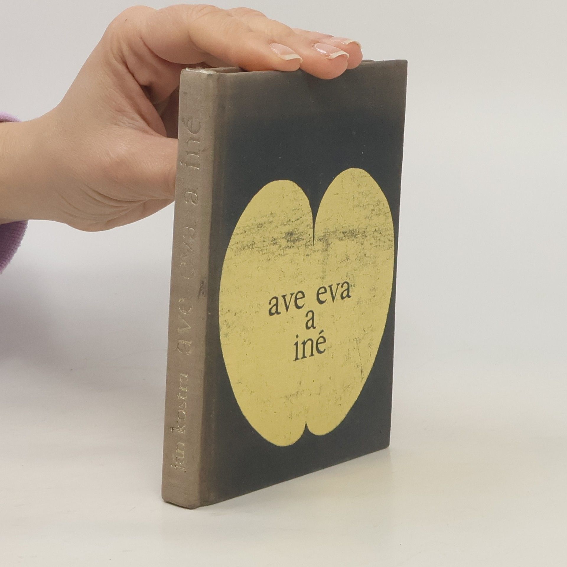 Ján Kostra Ave eva a iné