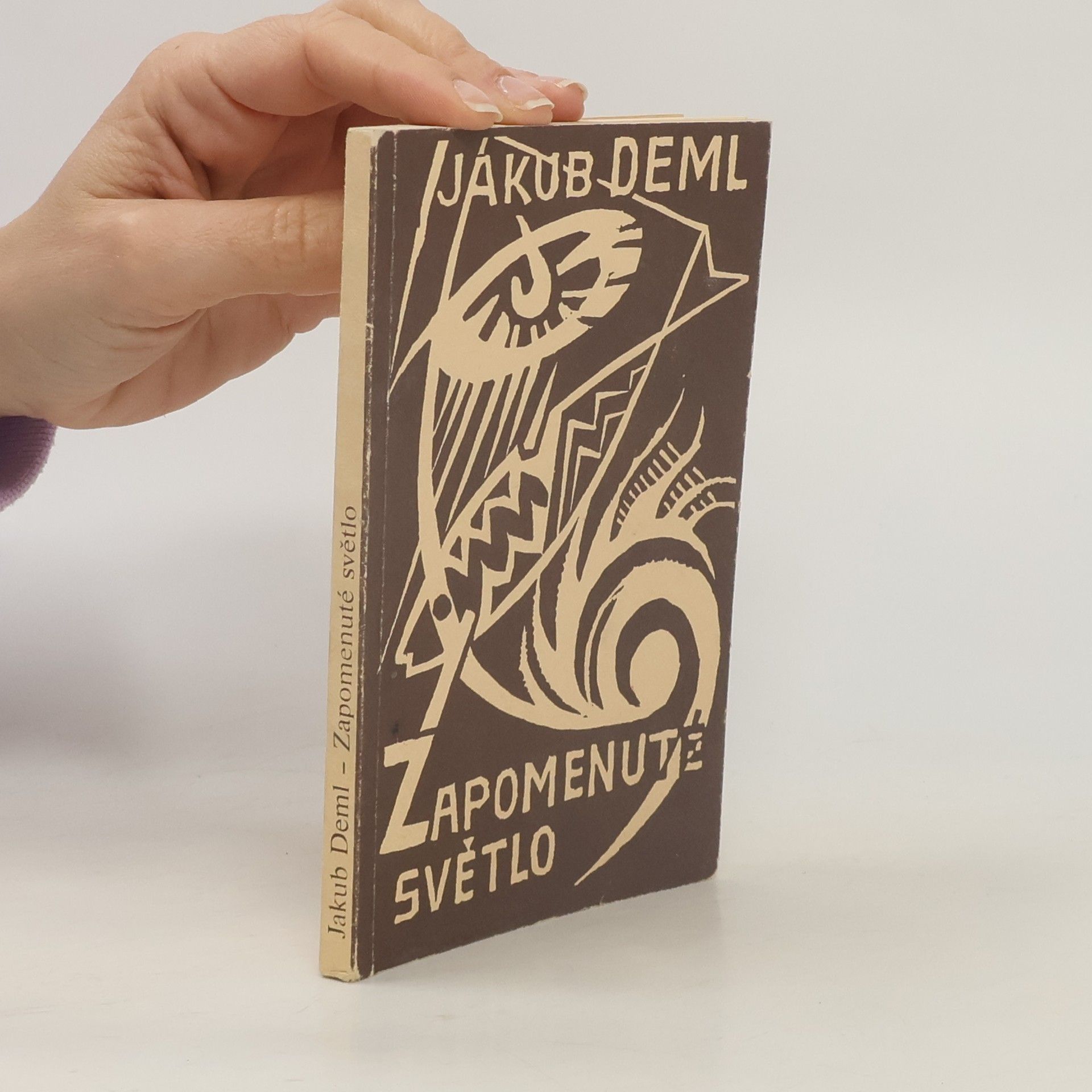 Jakub Deml Zapomenuté světlo