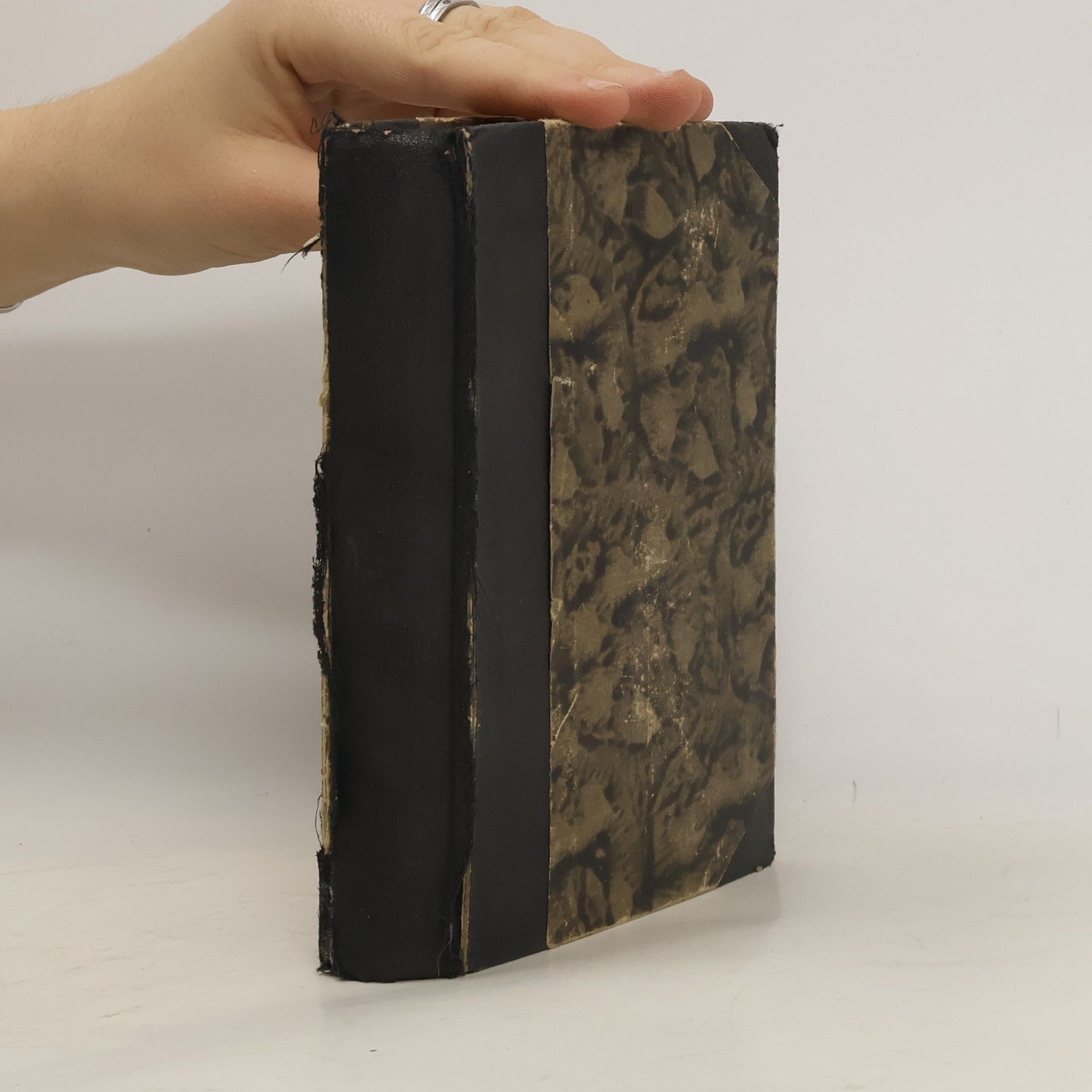 Alexandre Dumas Vlčice III.