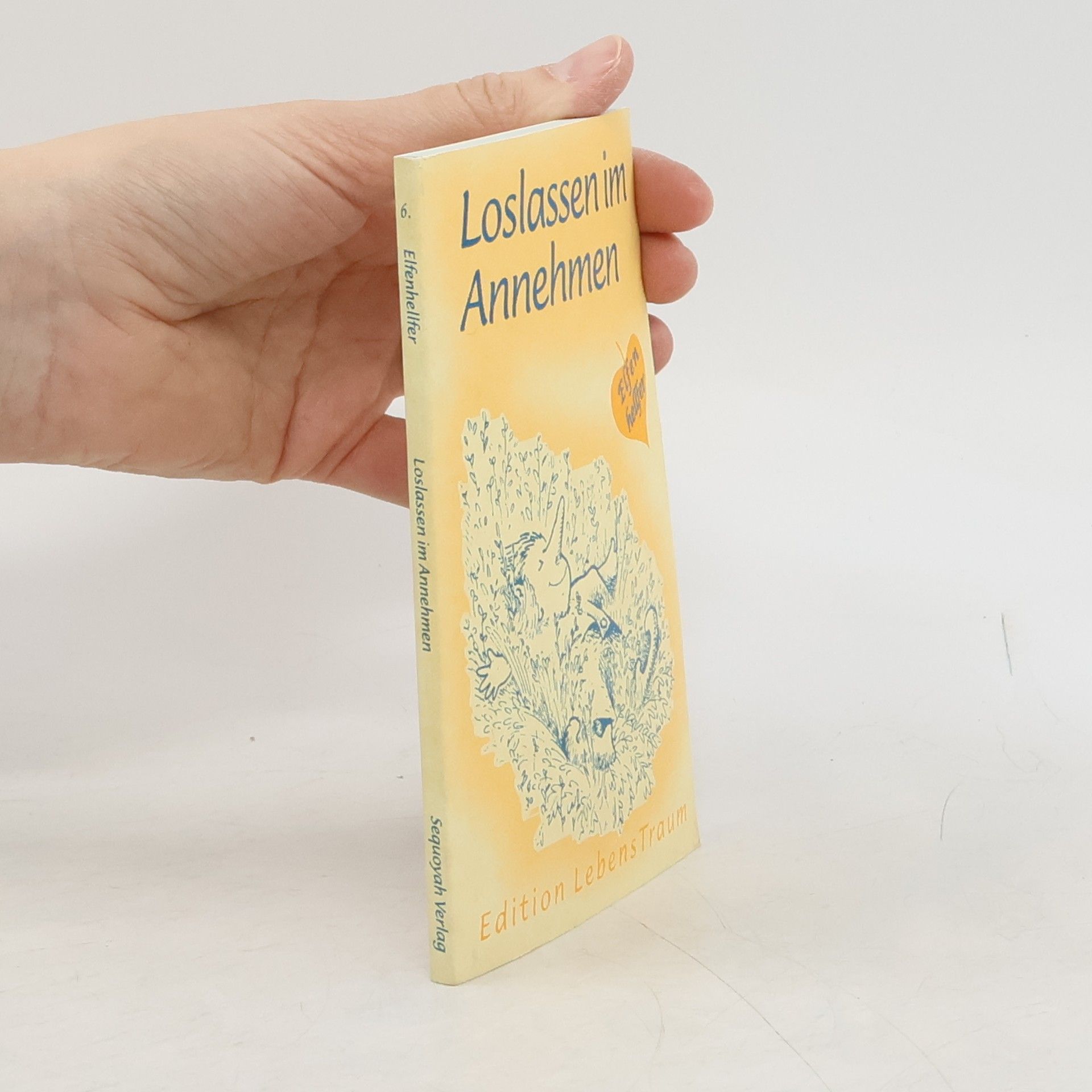 Autorenkollektiv Loslassen im Annehmen