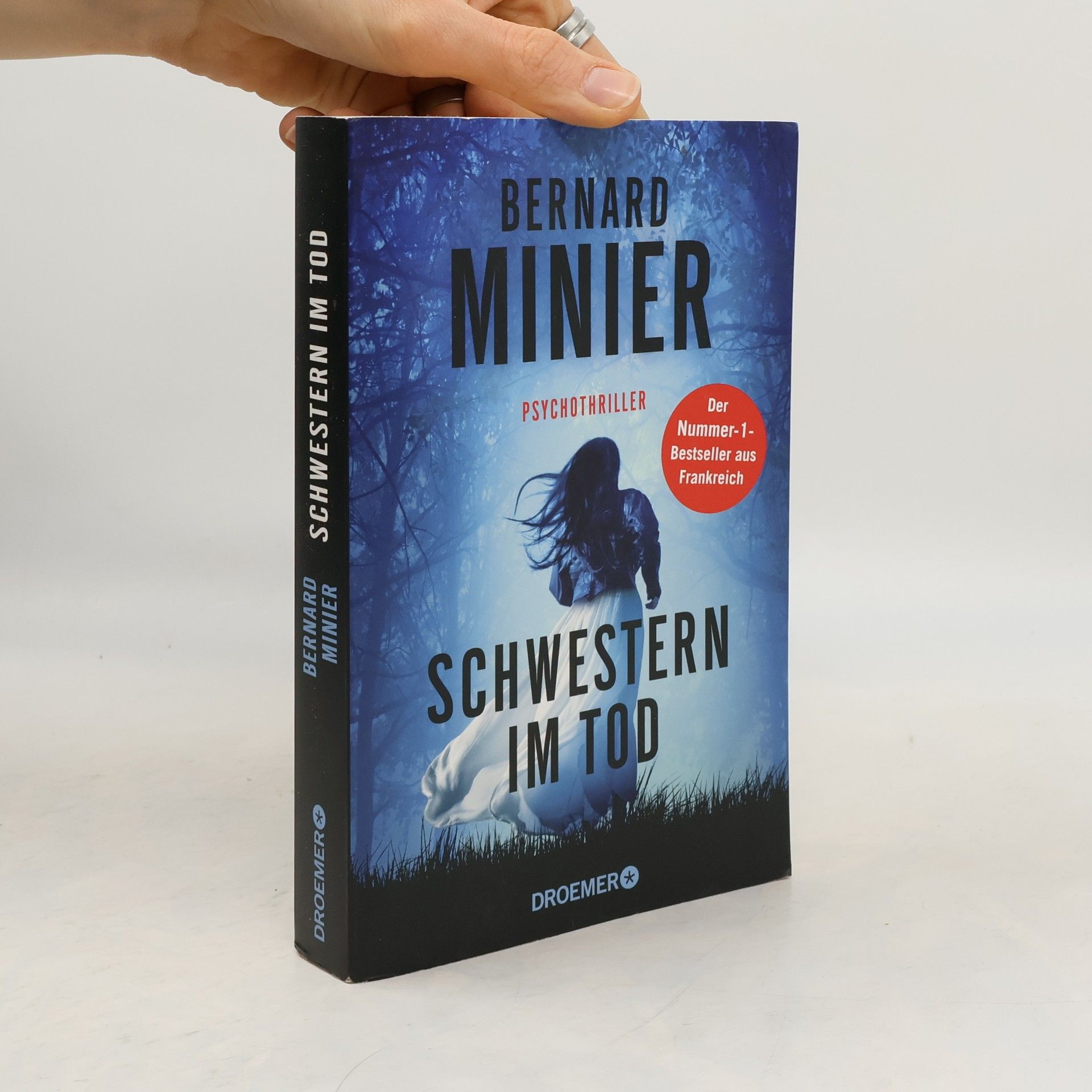 Bernard Minier Schwestern im Tod