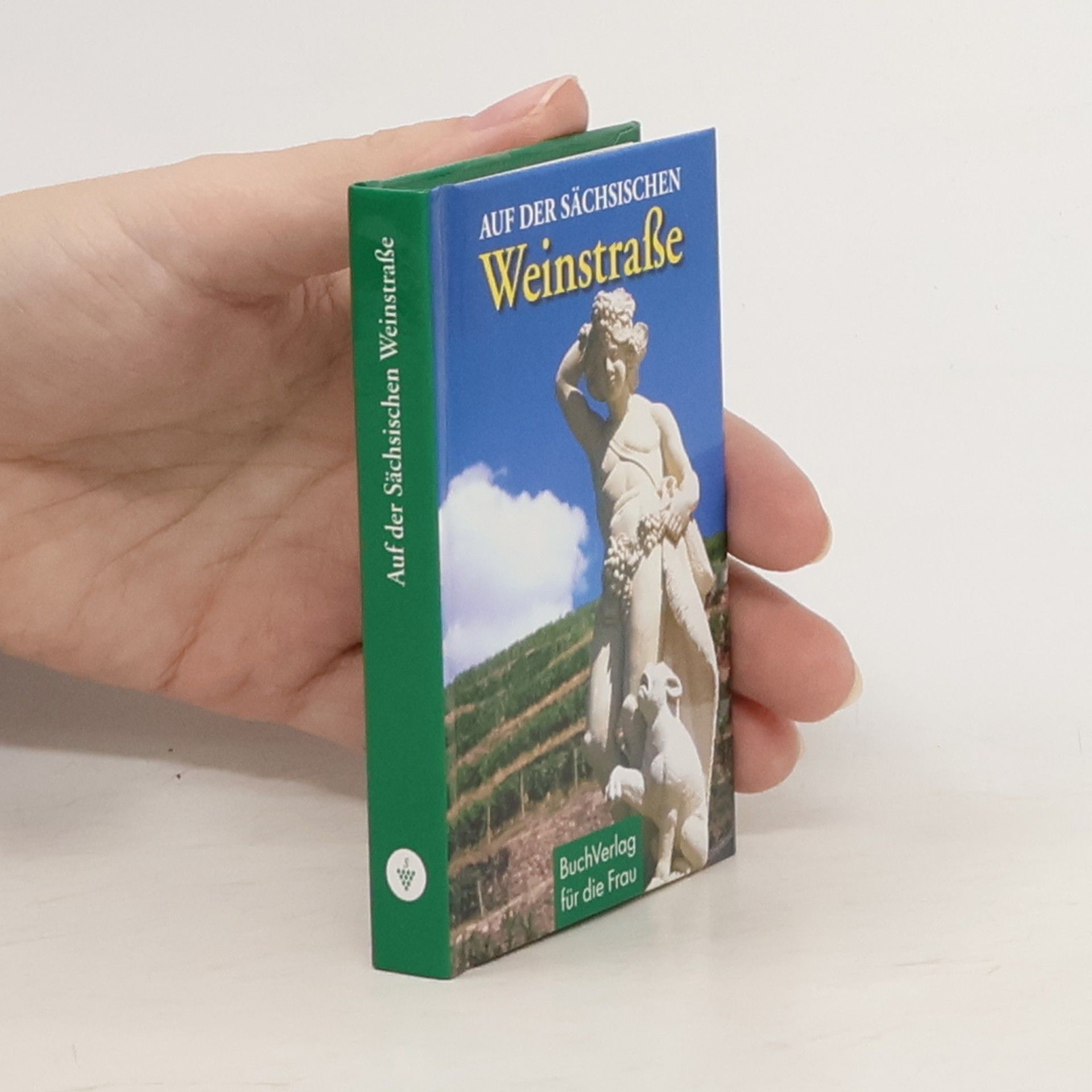 Auf der Sächsischen Weinstraße