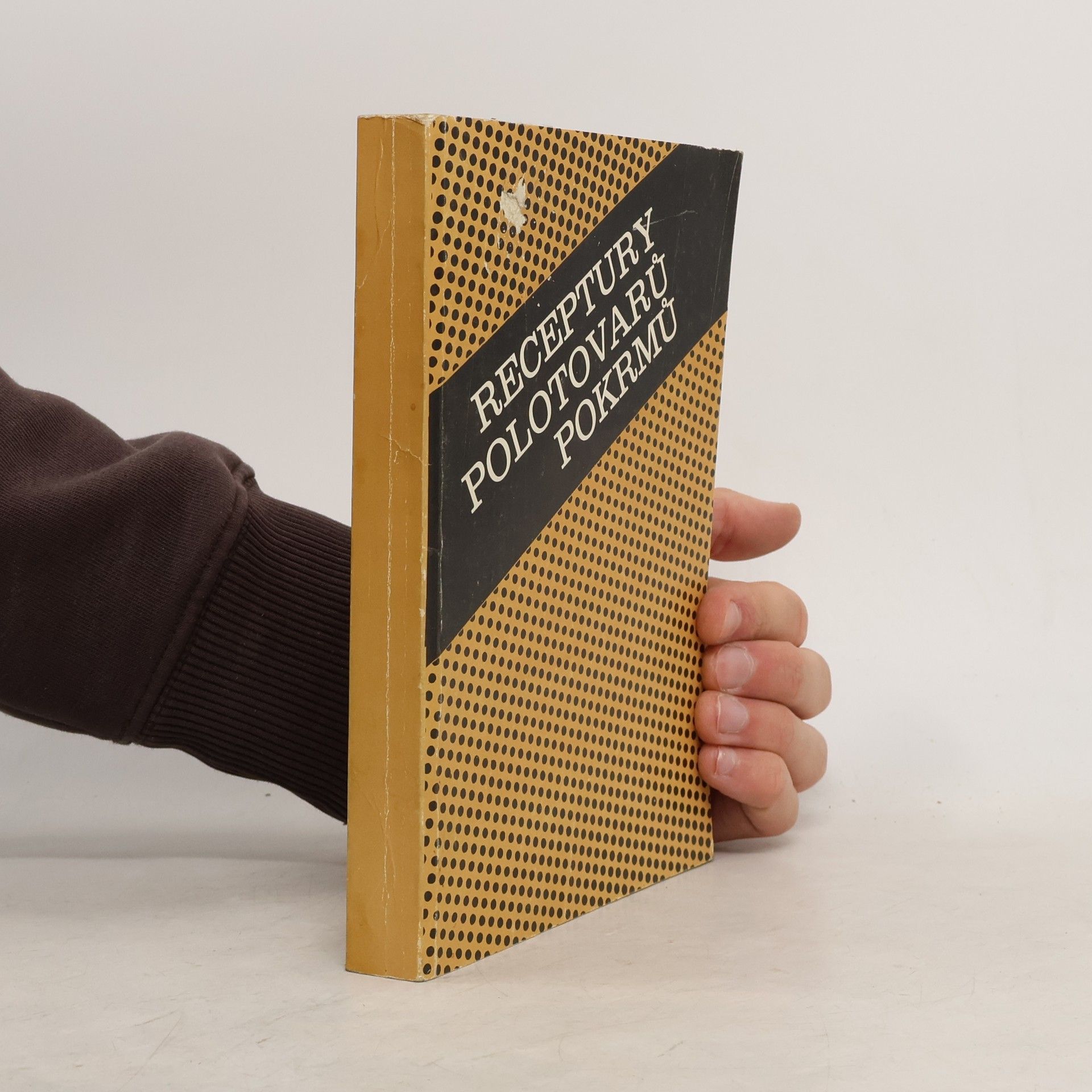 Kolektív autorov Receptury polotovarů pokrmů