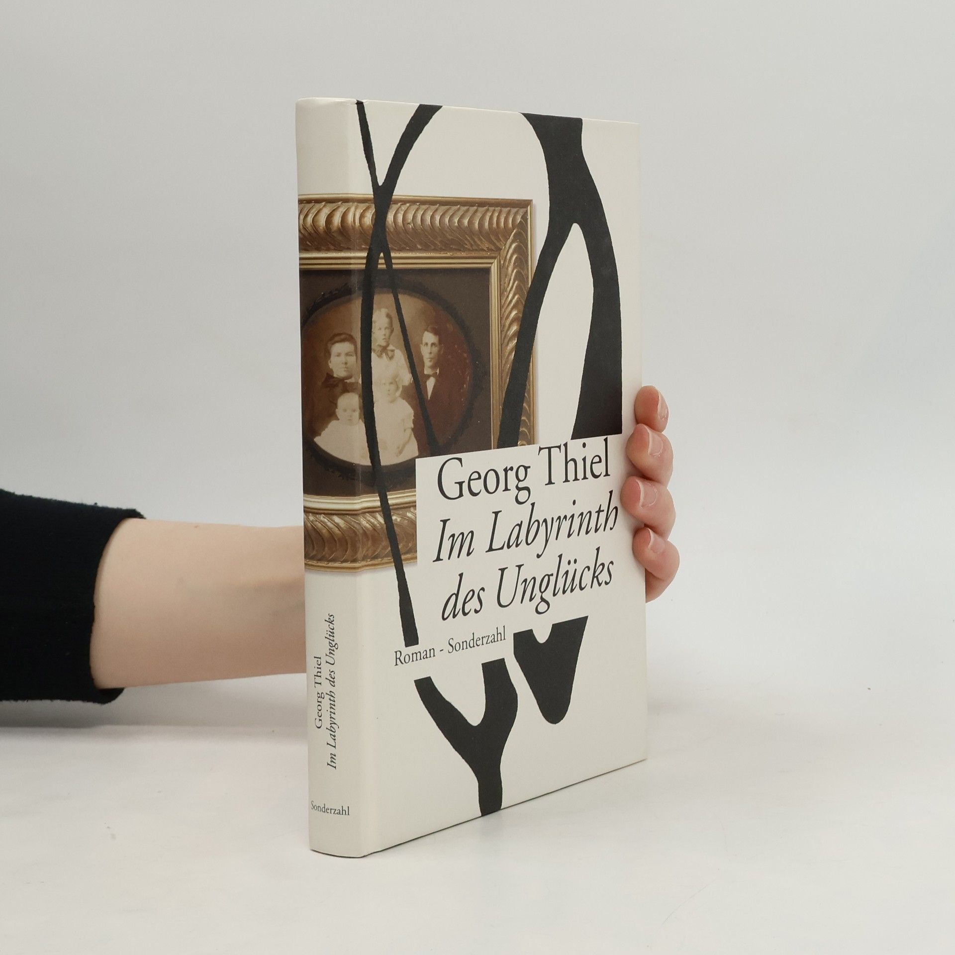 Im Labyrinth des Unglücks