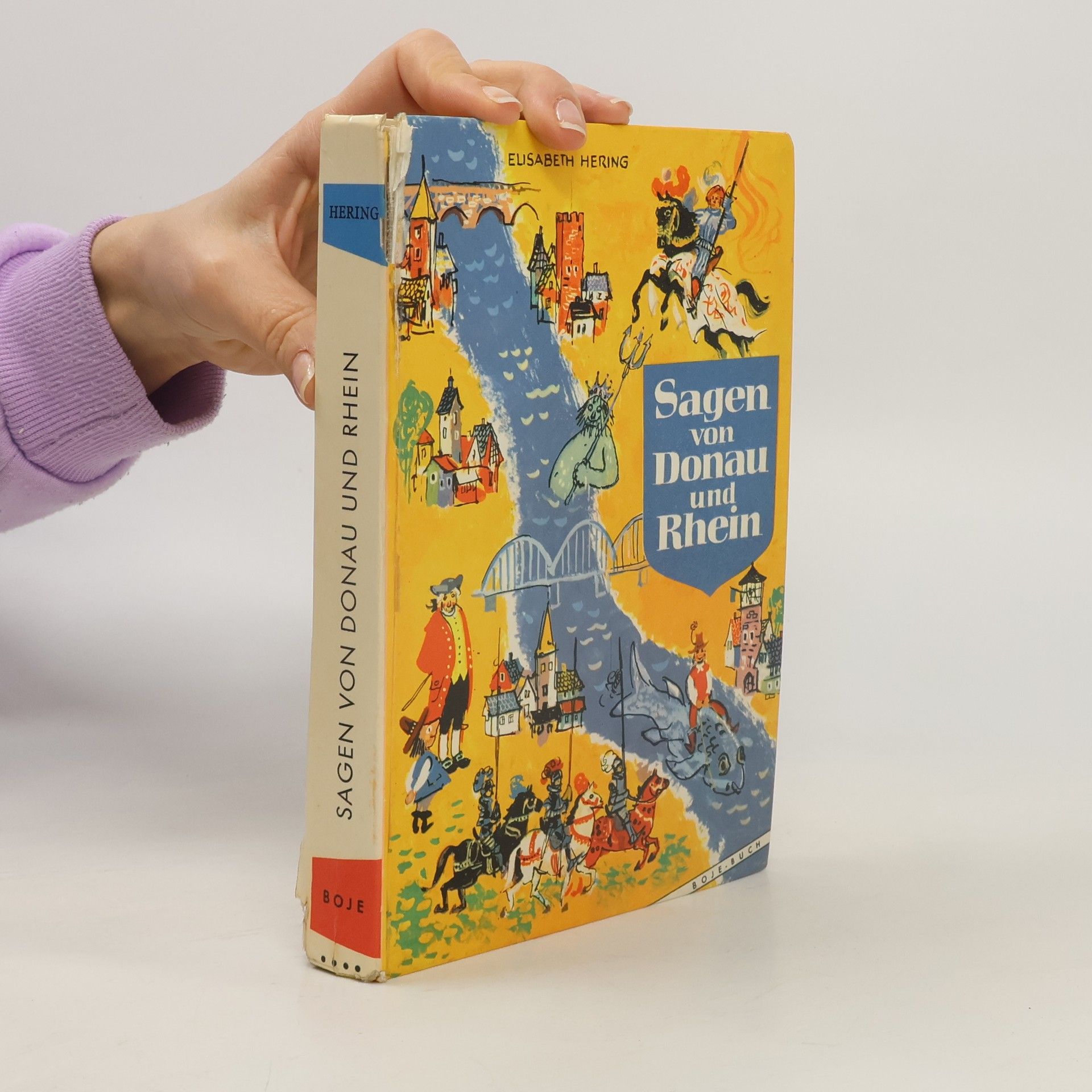 Autorenkollektiv Sagen von Donau und Rhein