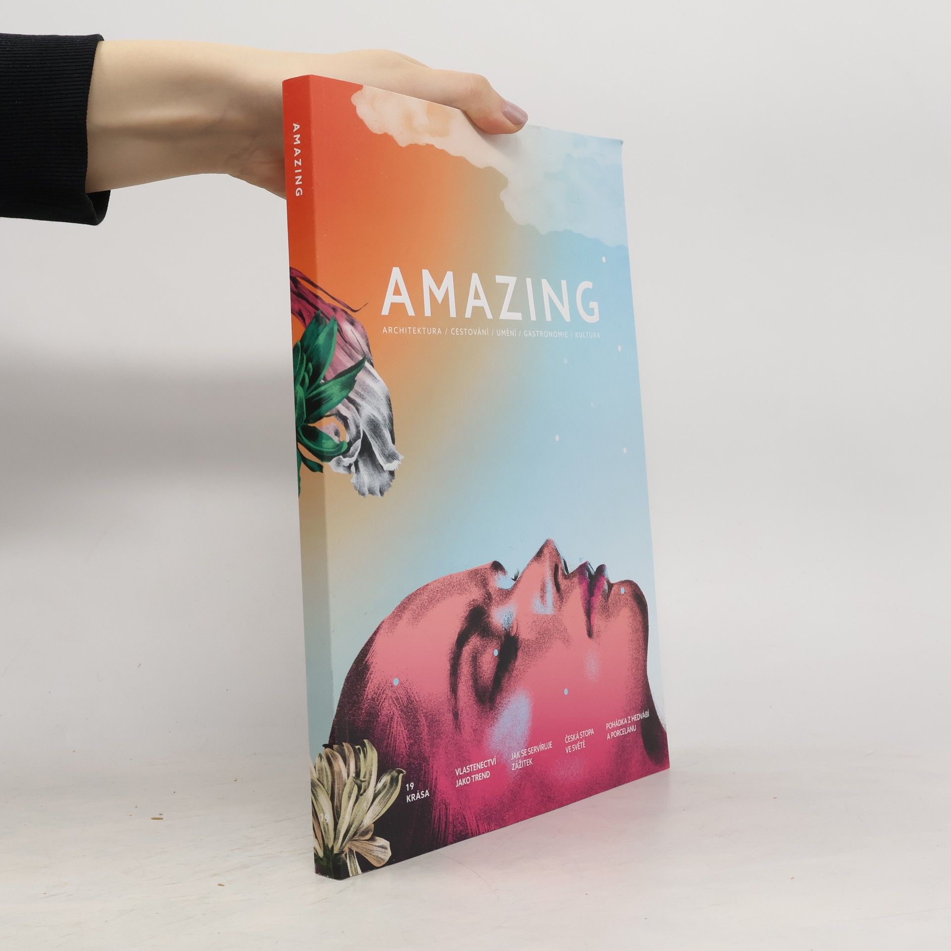 Autorenkollektiv Amazing 19