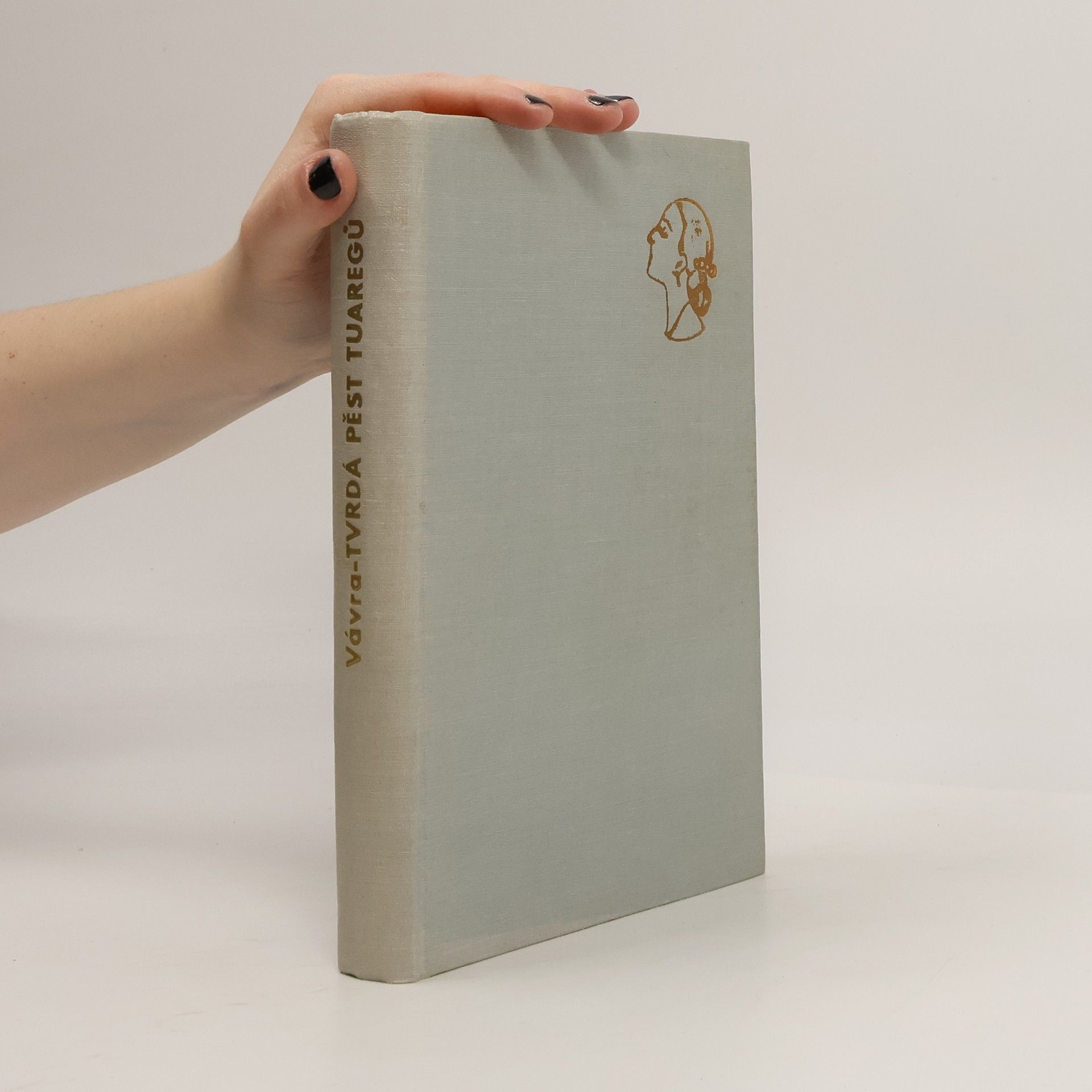 Jaroslav Raimund Vávra Tvrdá pěst Tuaregů