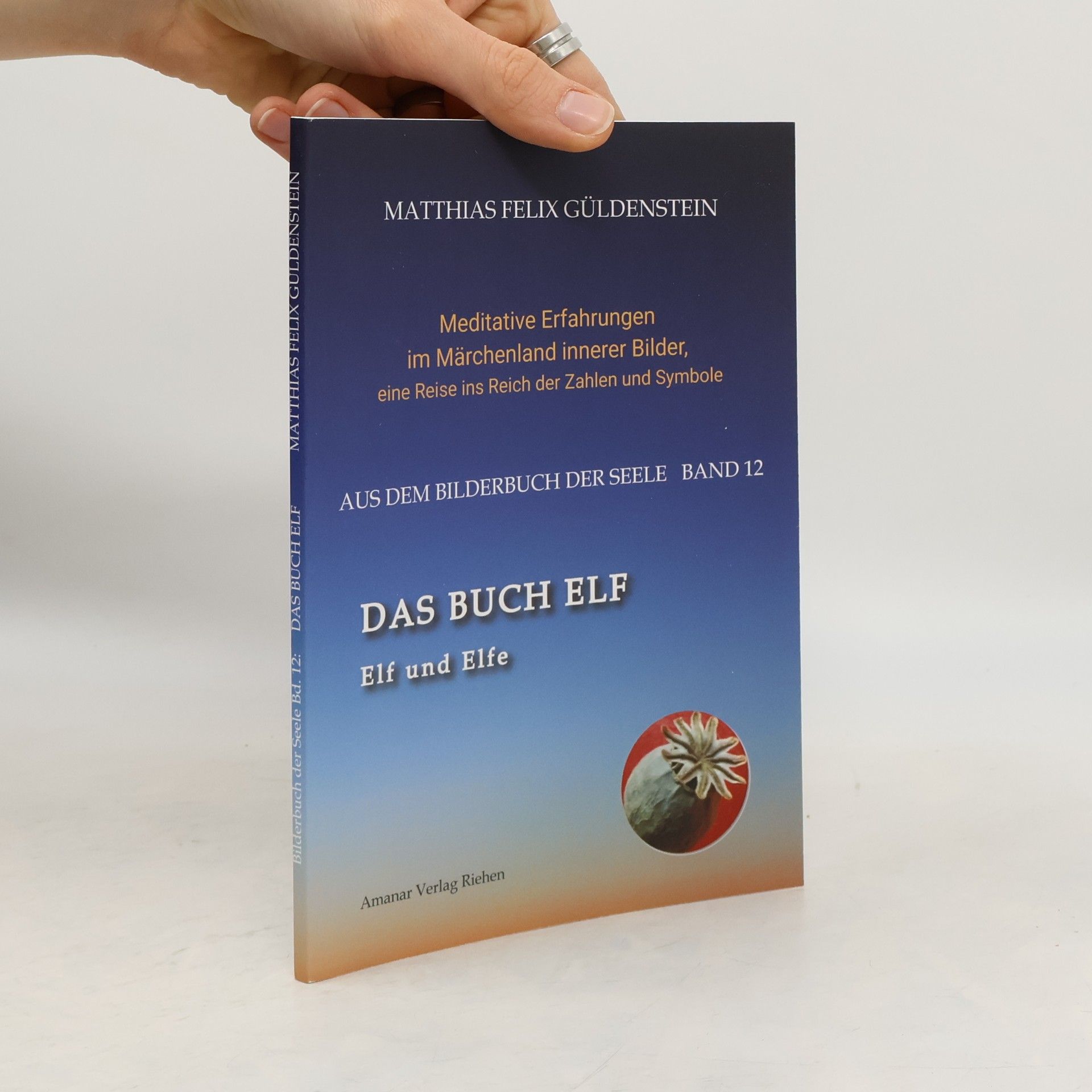 Matthias Felix Güldenstein Aus dem Bilderbuch der Seele - 12: Das Buch Elf